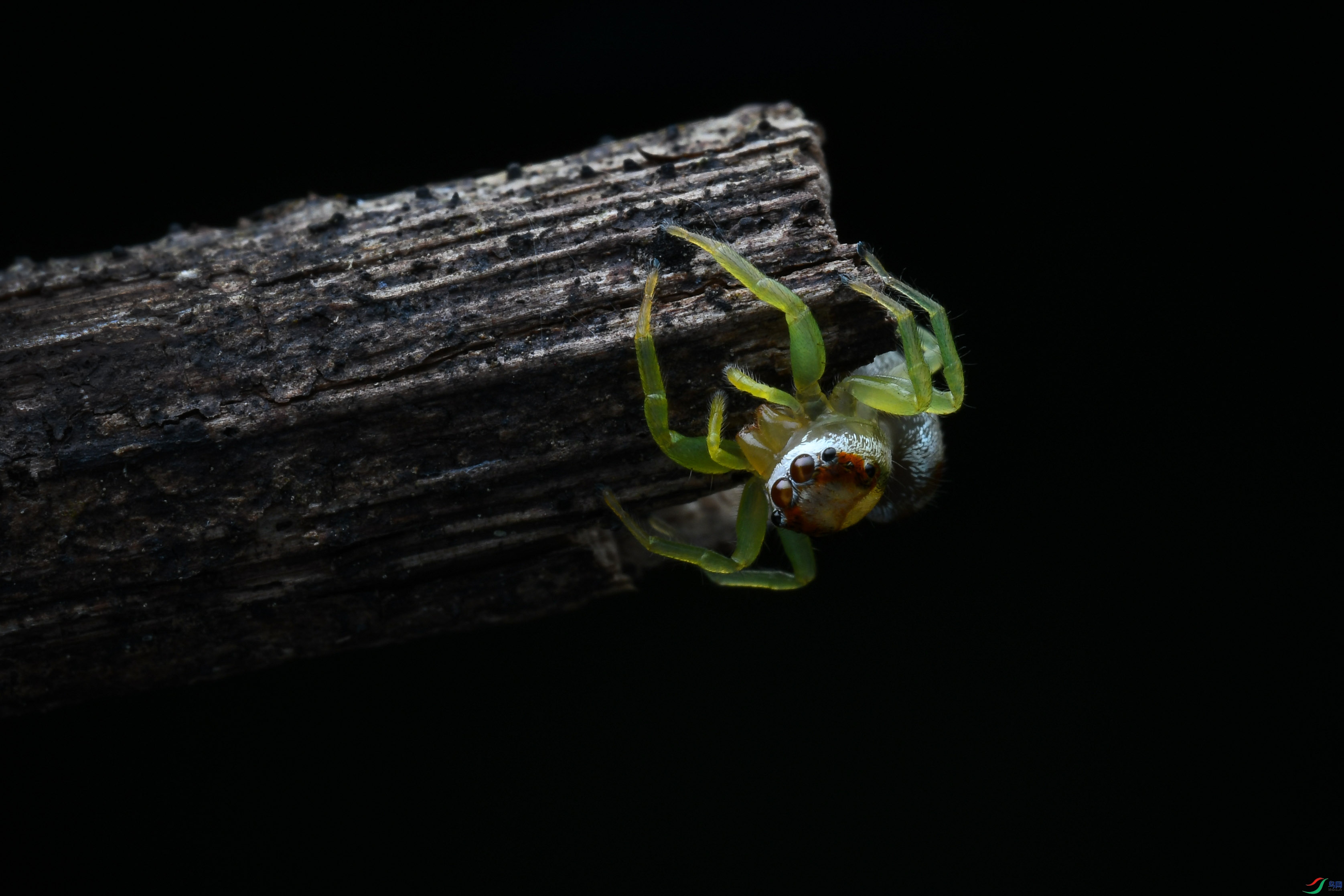 DSC_6388.jpg