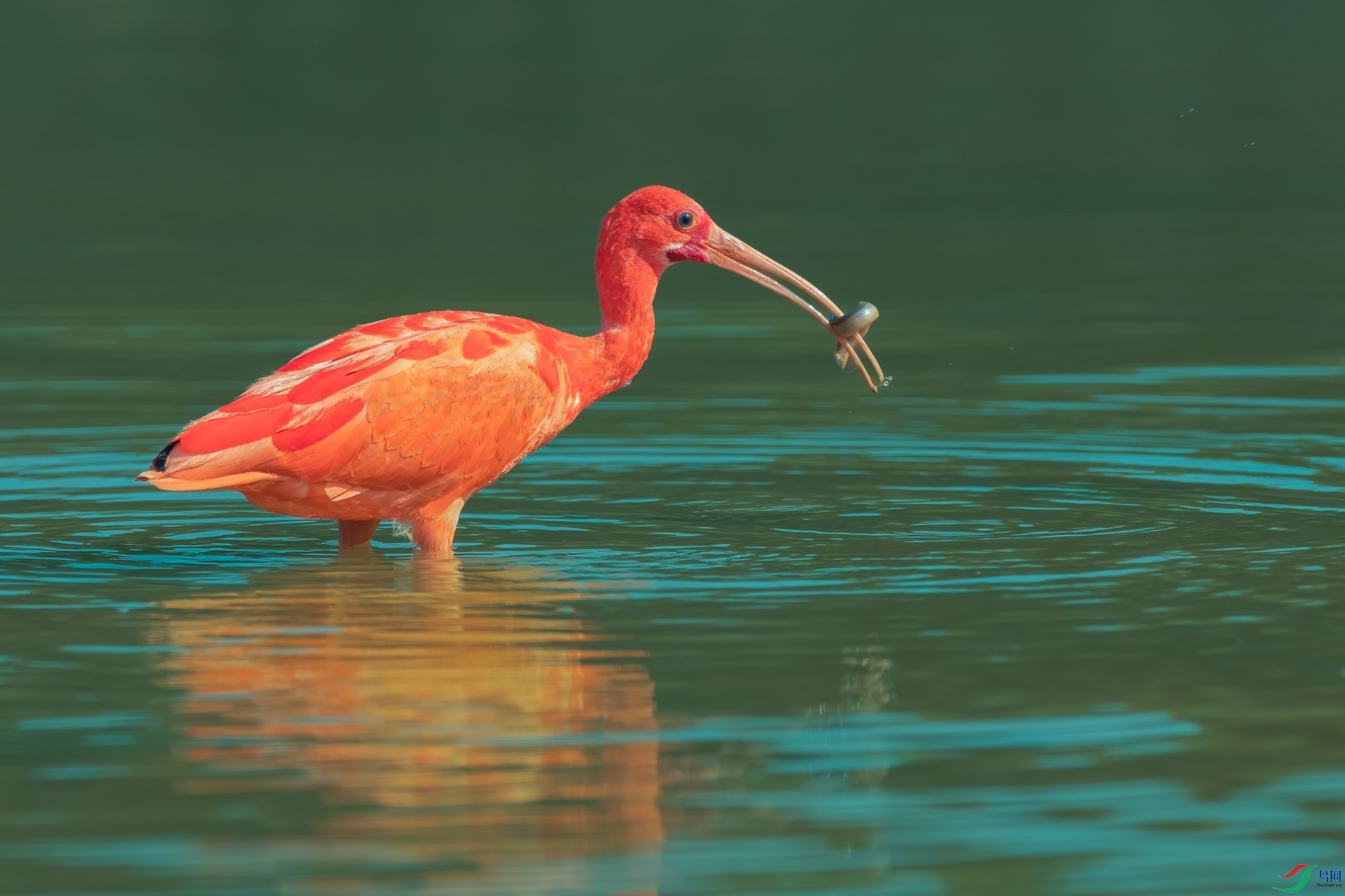 B86I5586 _����.jpg