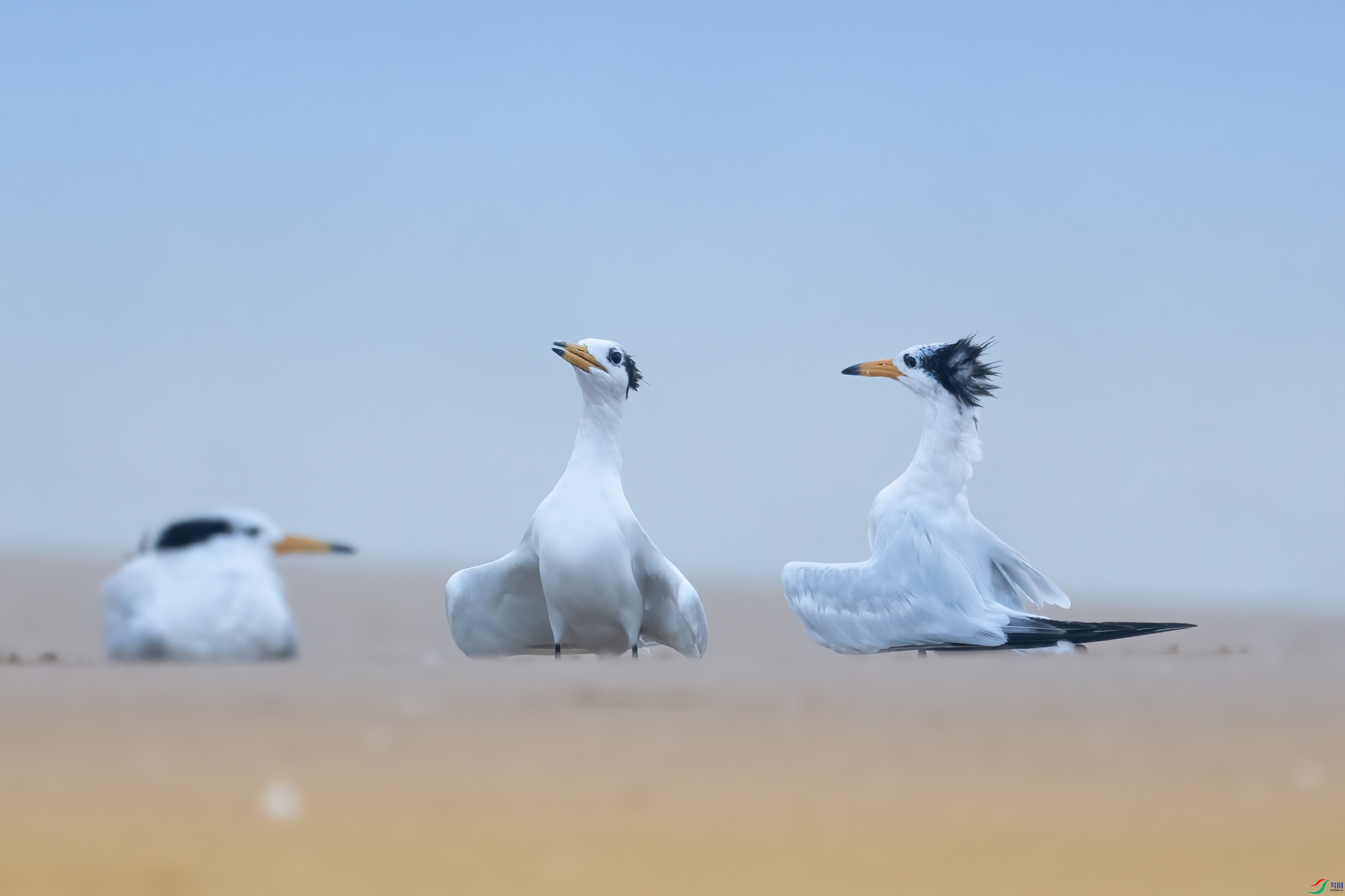 _DSC1742 ����.jpg