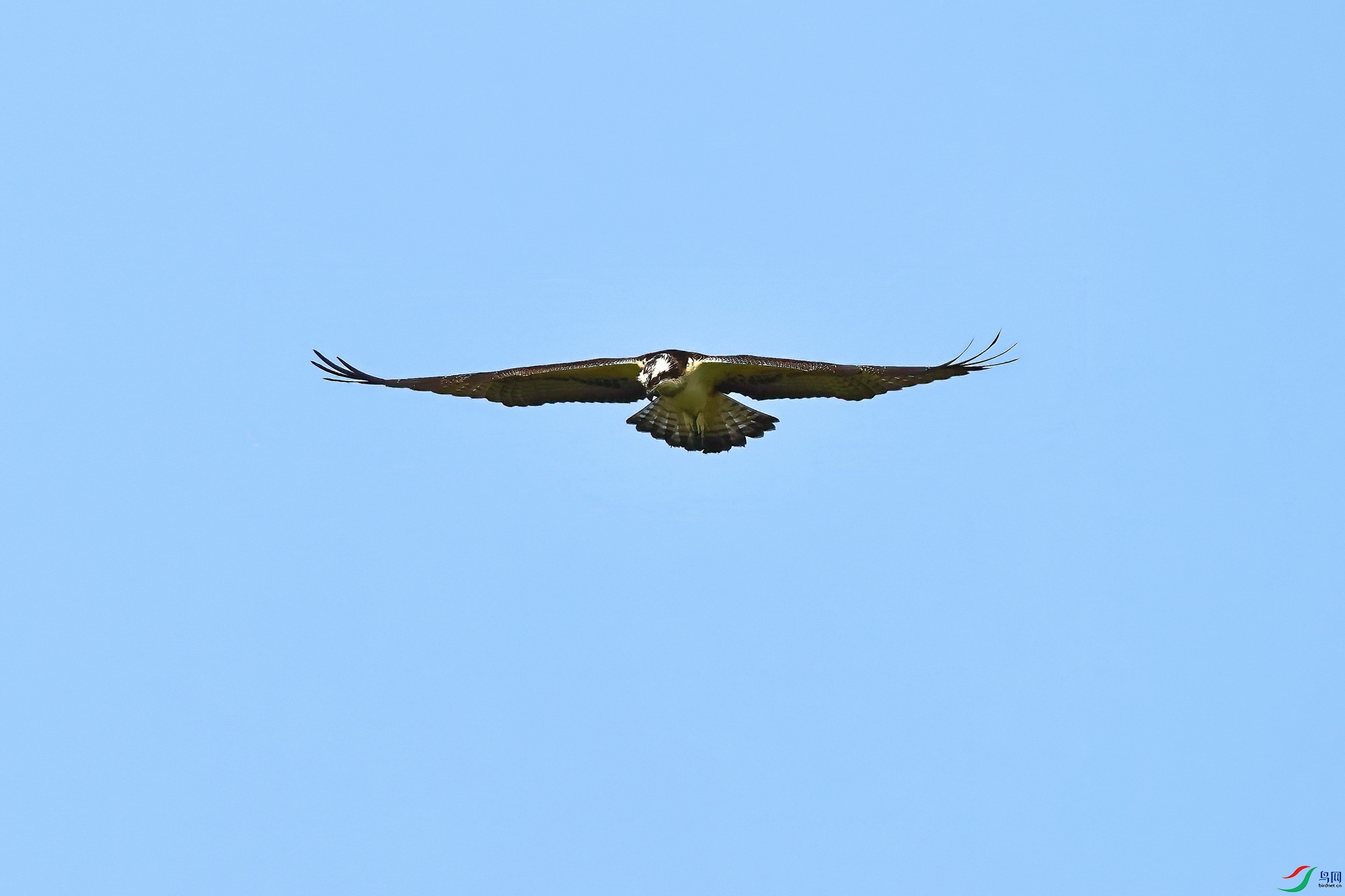 IMG_8513-1.JPG