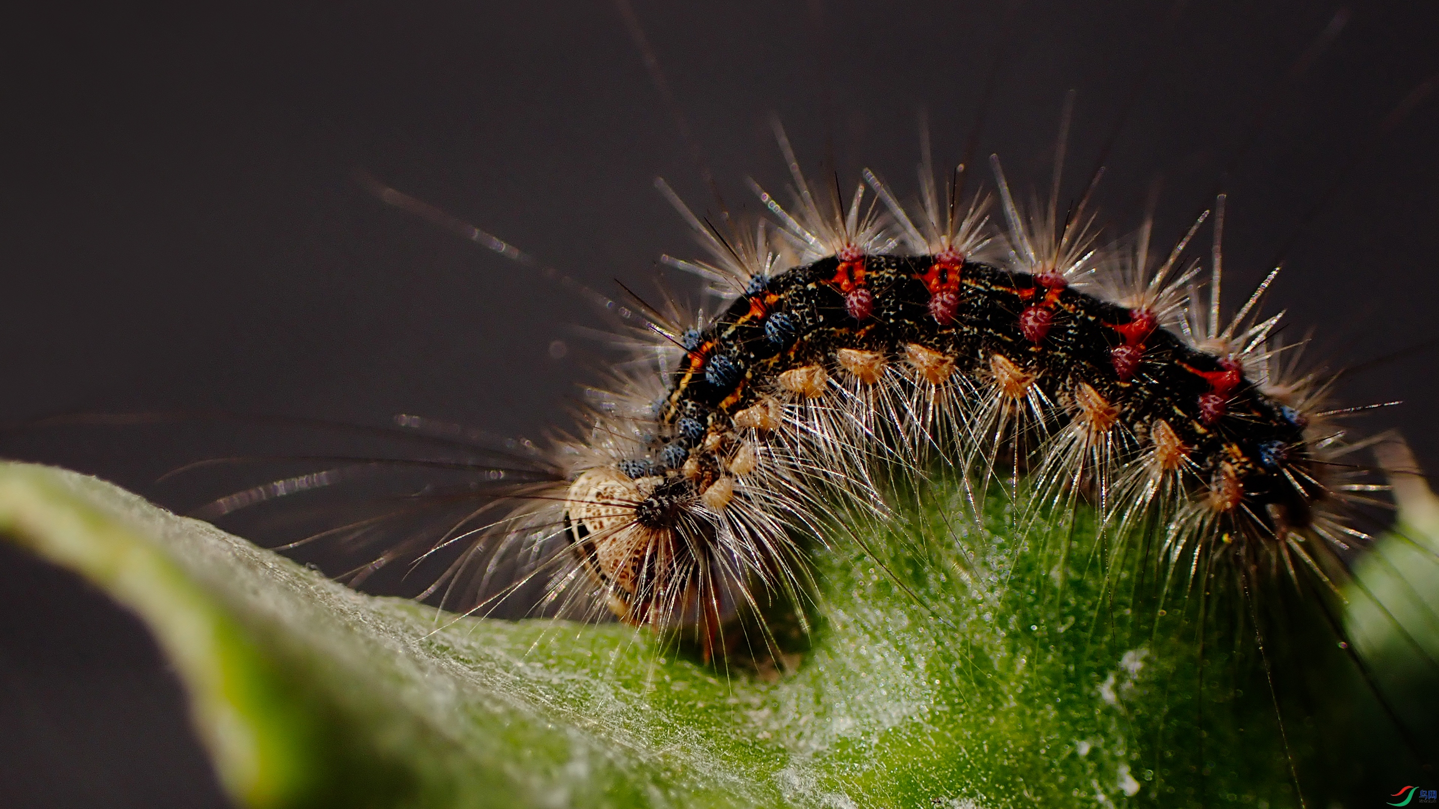 P5300979 ����111.jpg