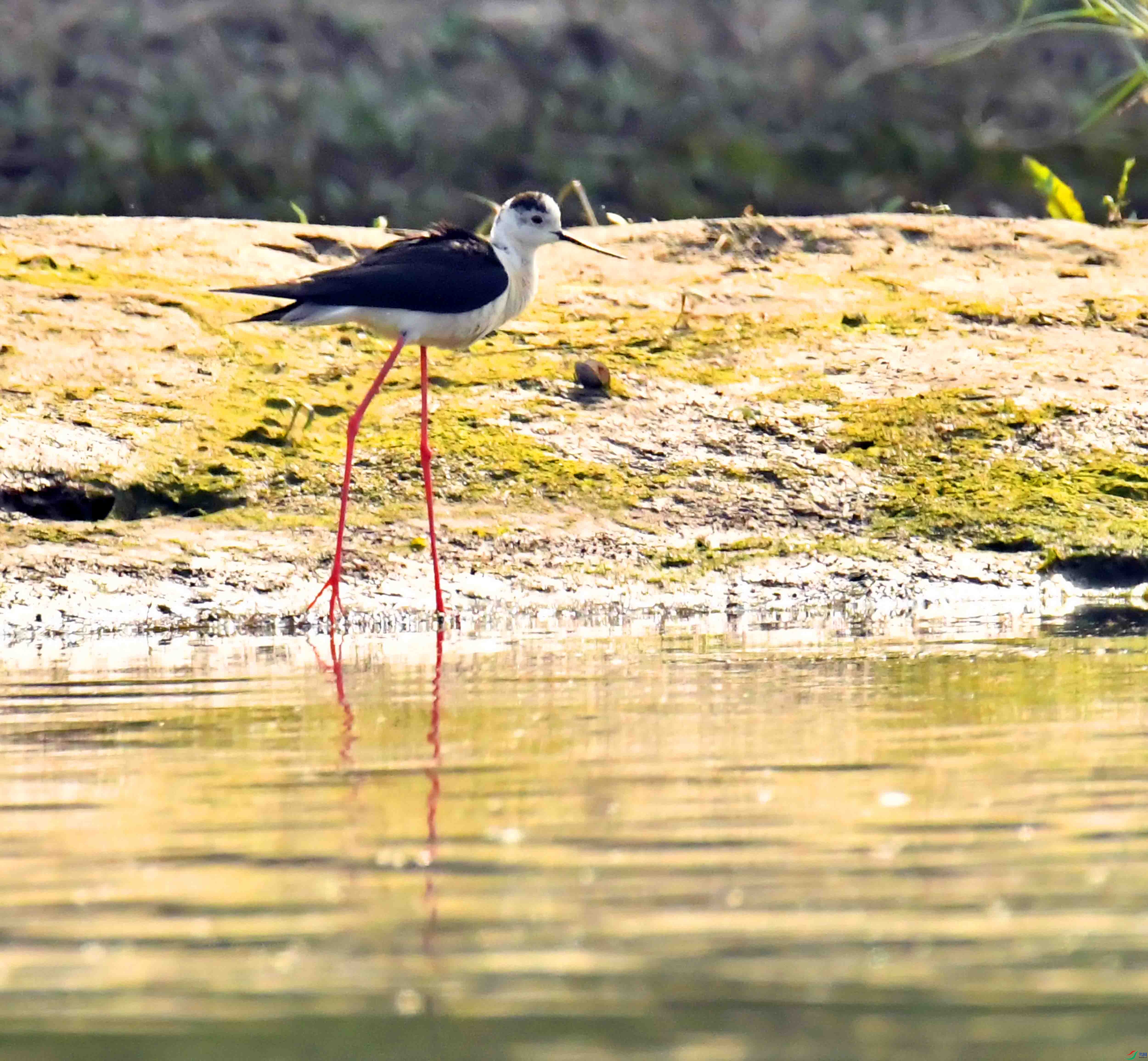 DSC_2044.JPG