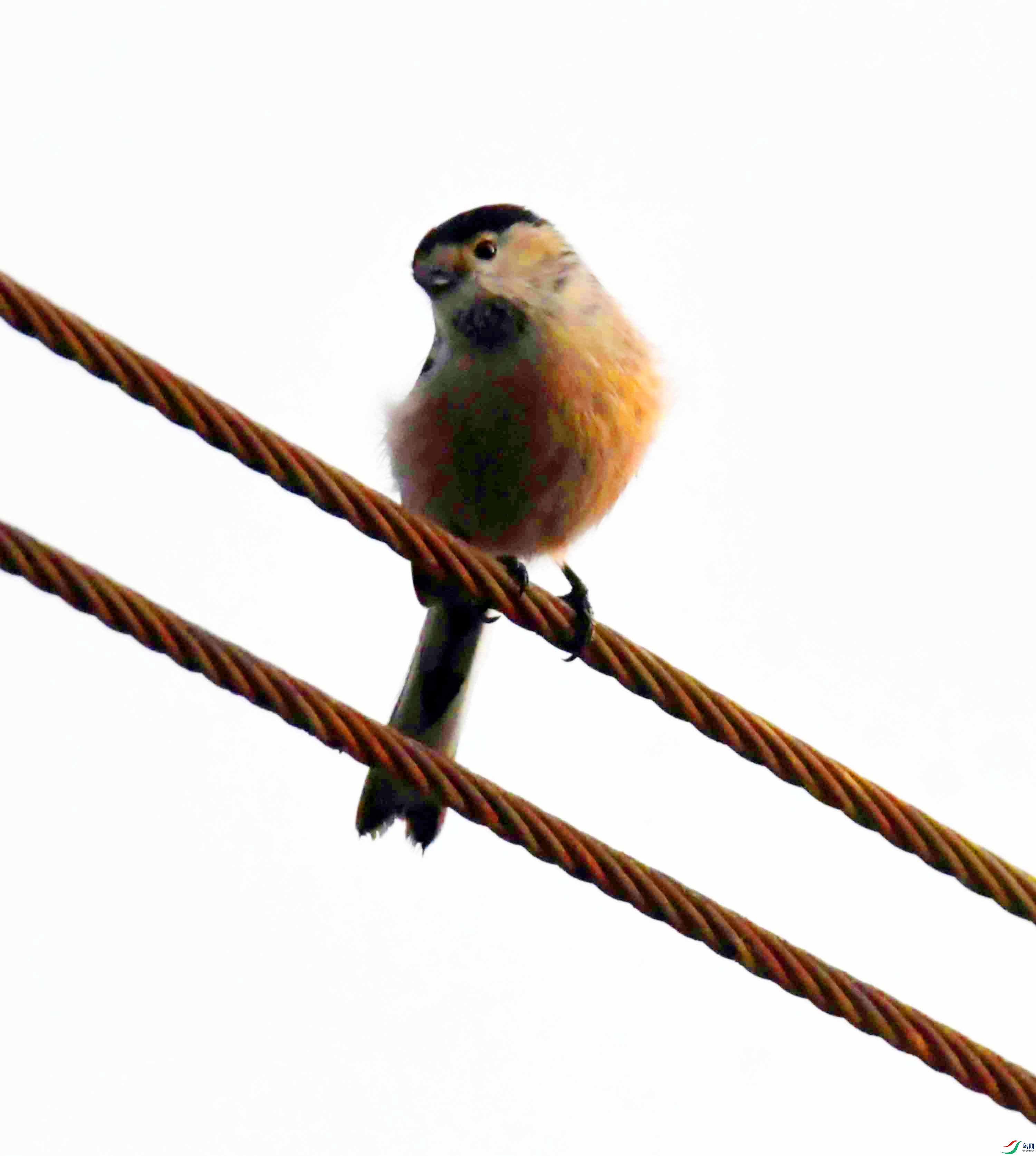 DSC_1885.JPG