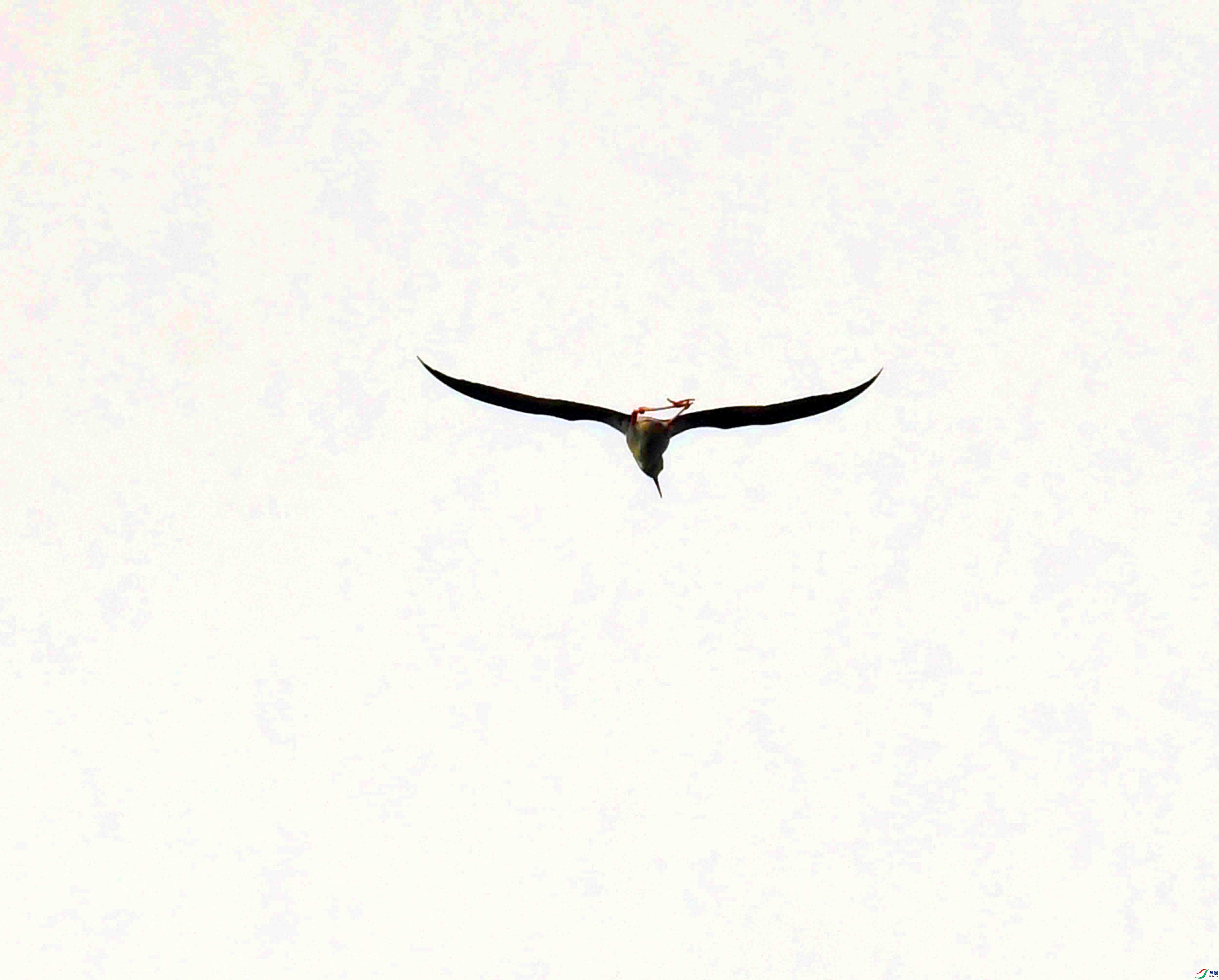 DSC_3058.JPG