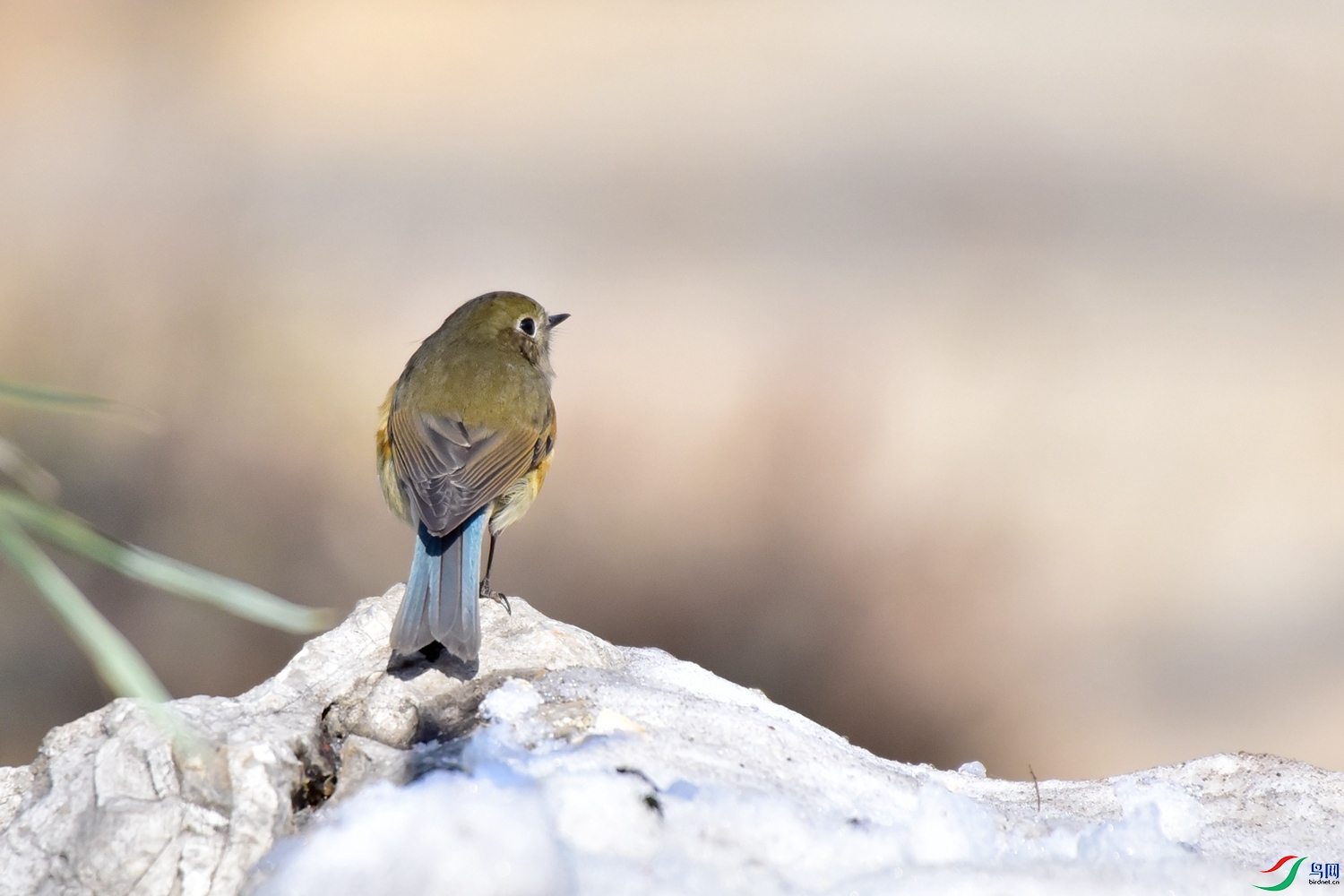 DSC_3416.JPG