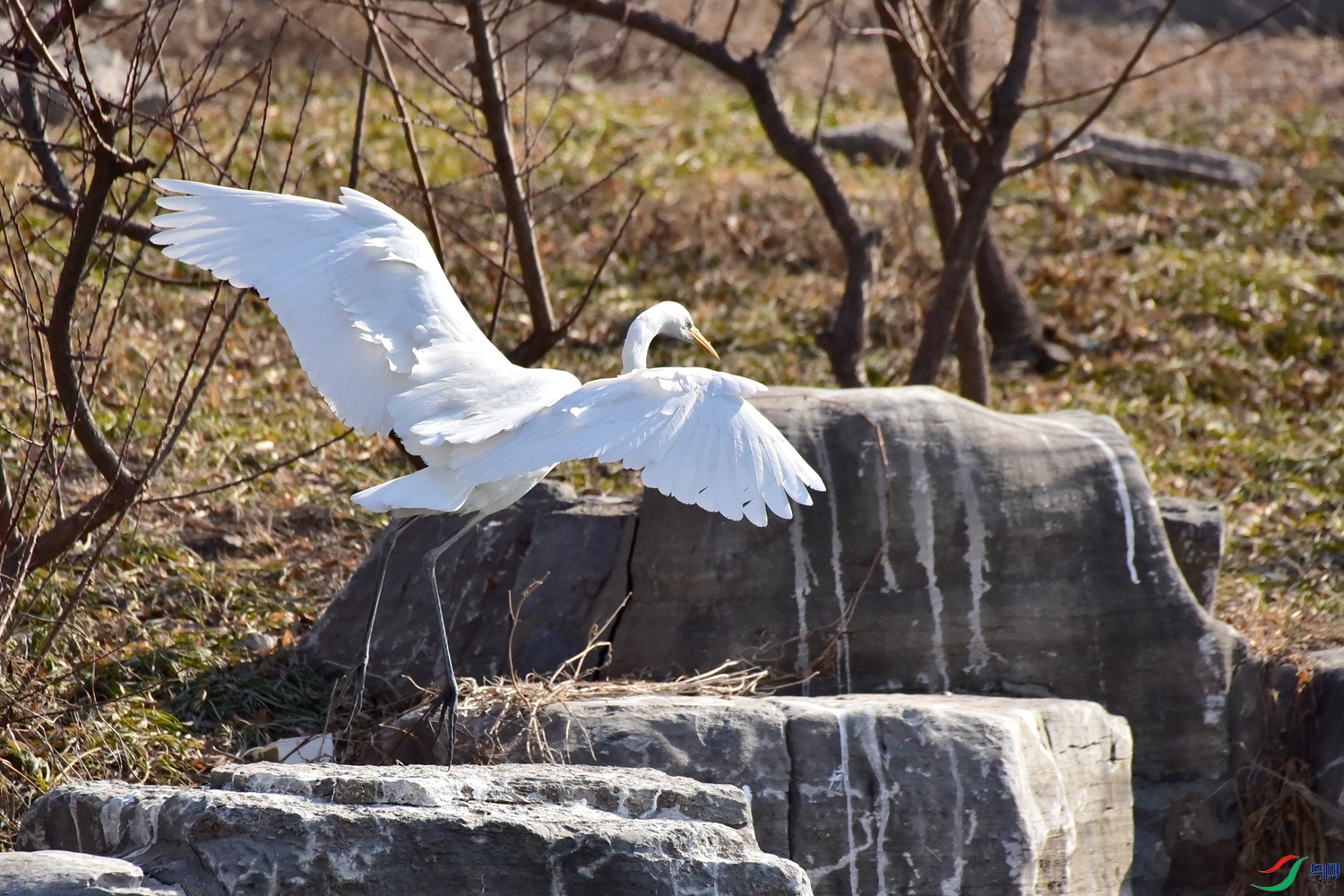 DSC_6035.JPG