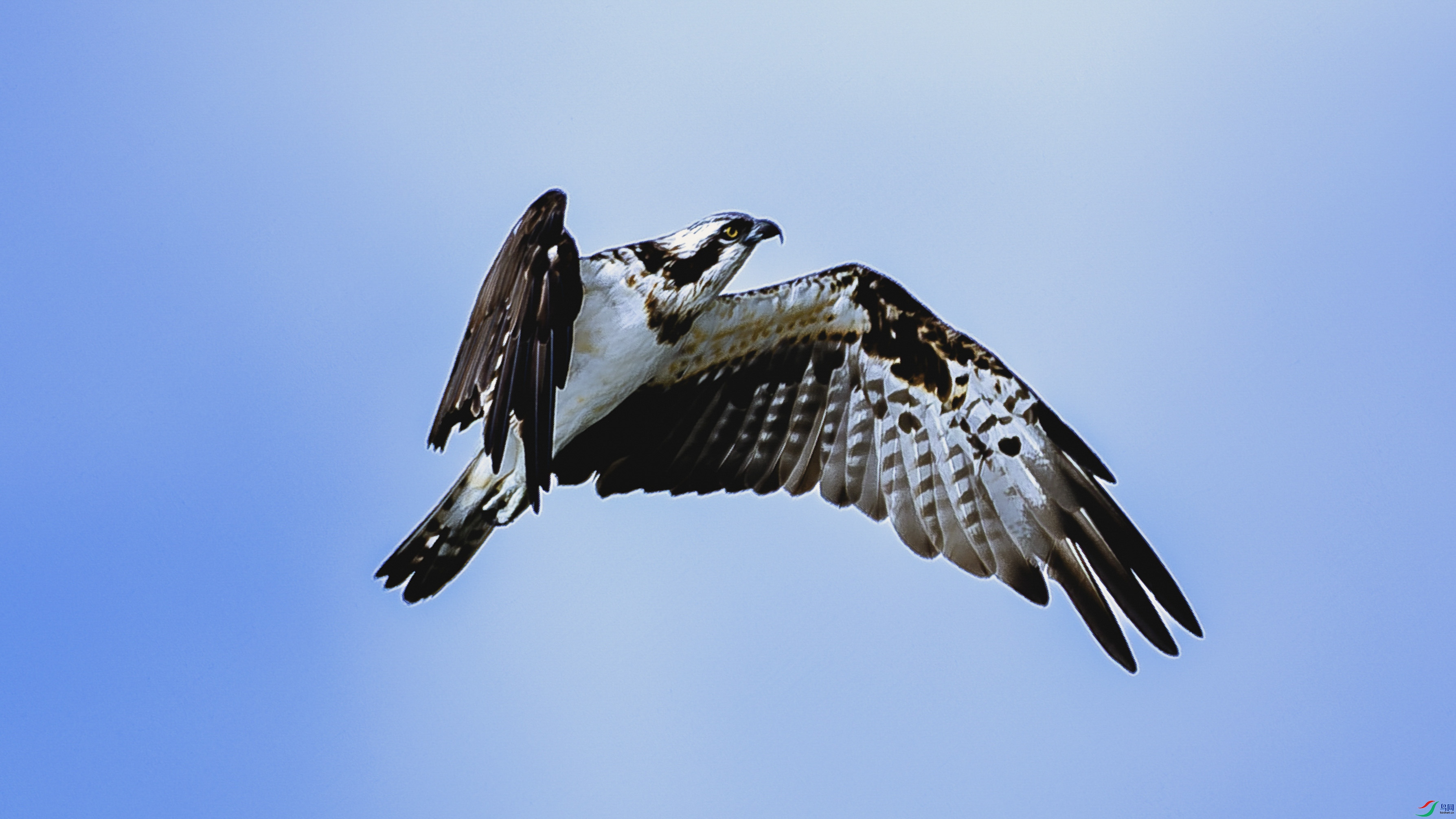 4F8A8687-2.jpg