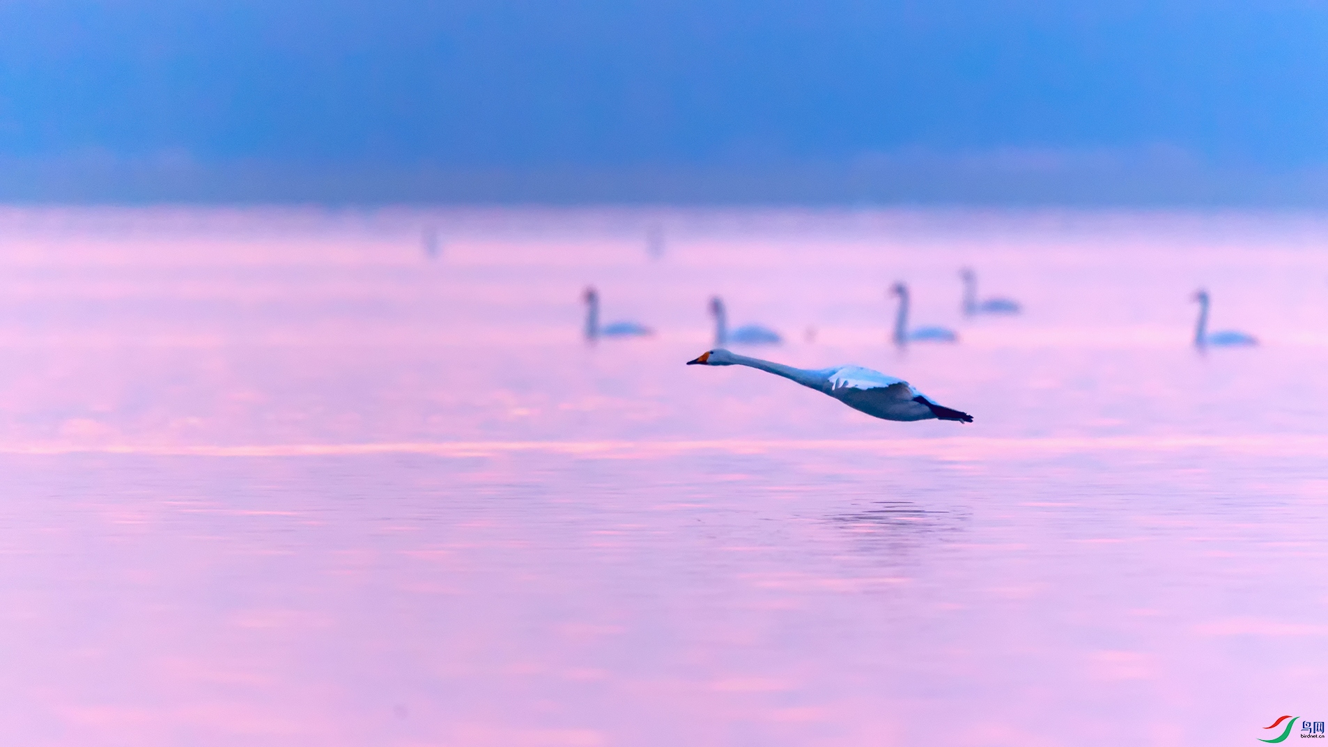 6DSC_5775_DxOa.jpg