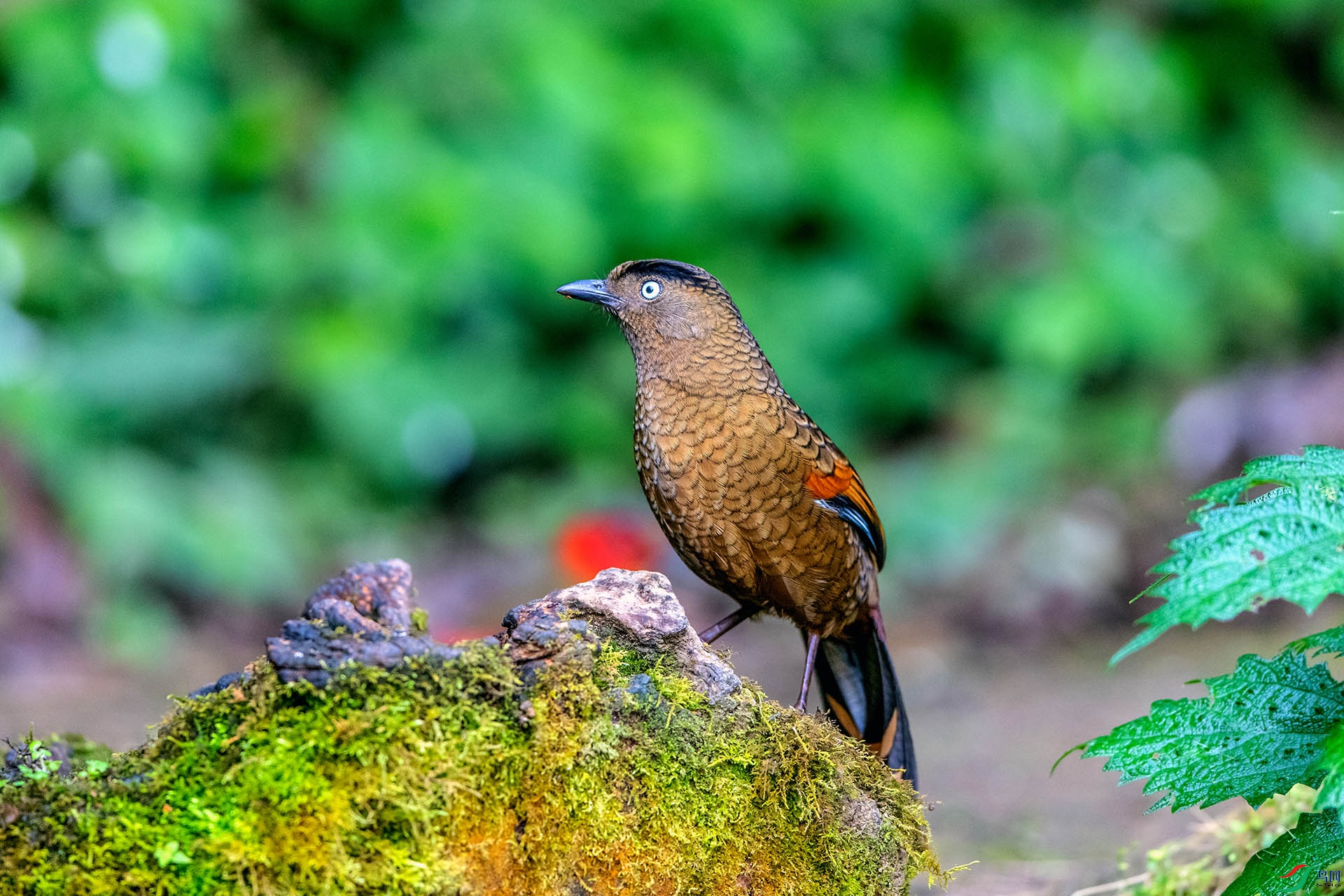 ��_AUU1553����������(24.2.15)-1.jpg