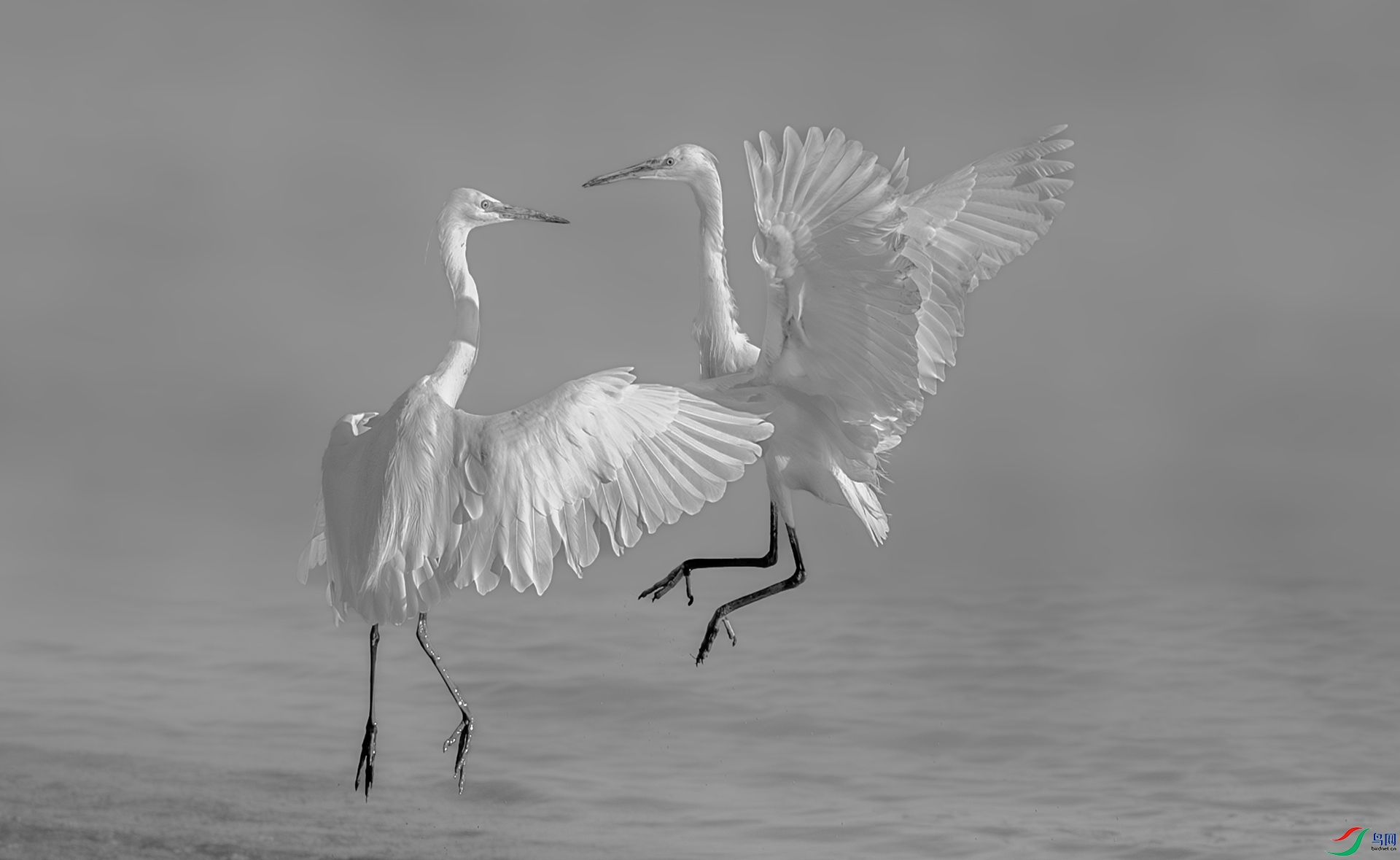Meet on the water.jpg