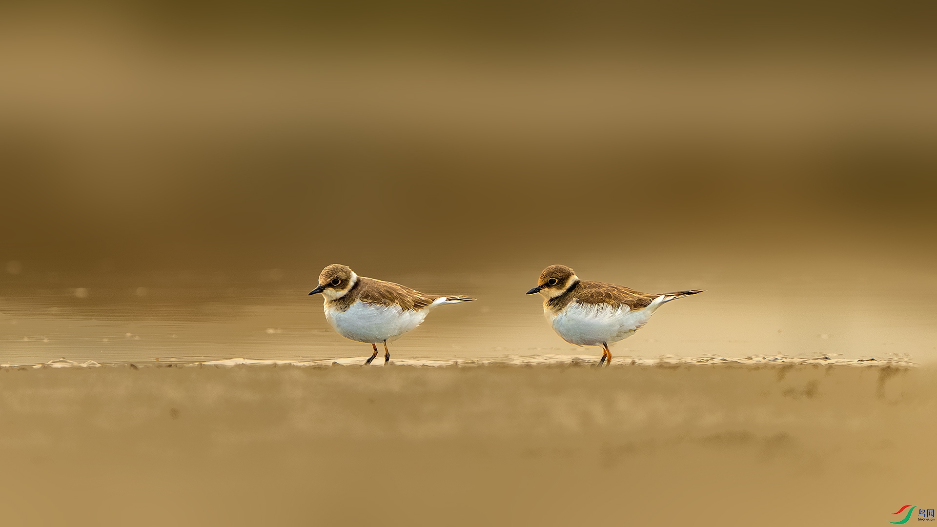 _DSC3821-����ǿ-NR ����С.jpg