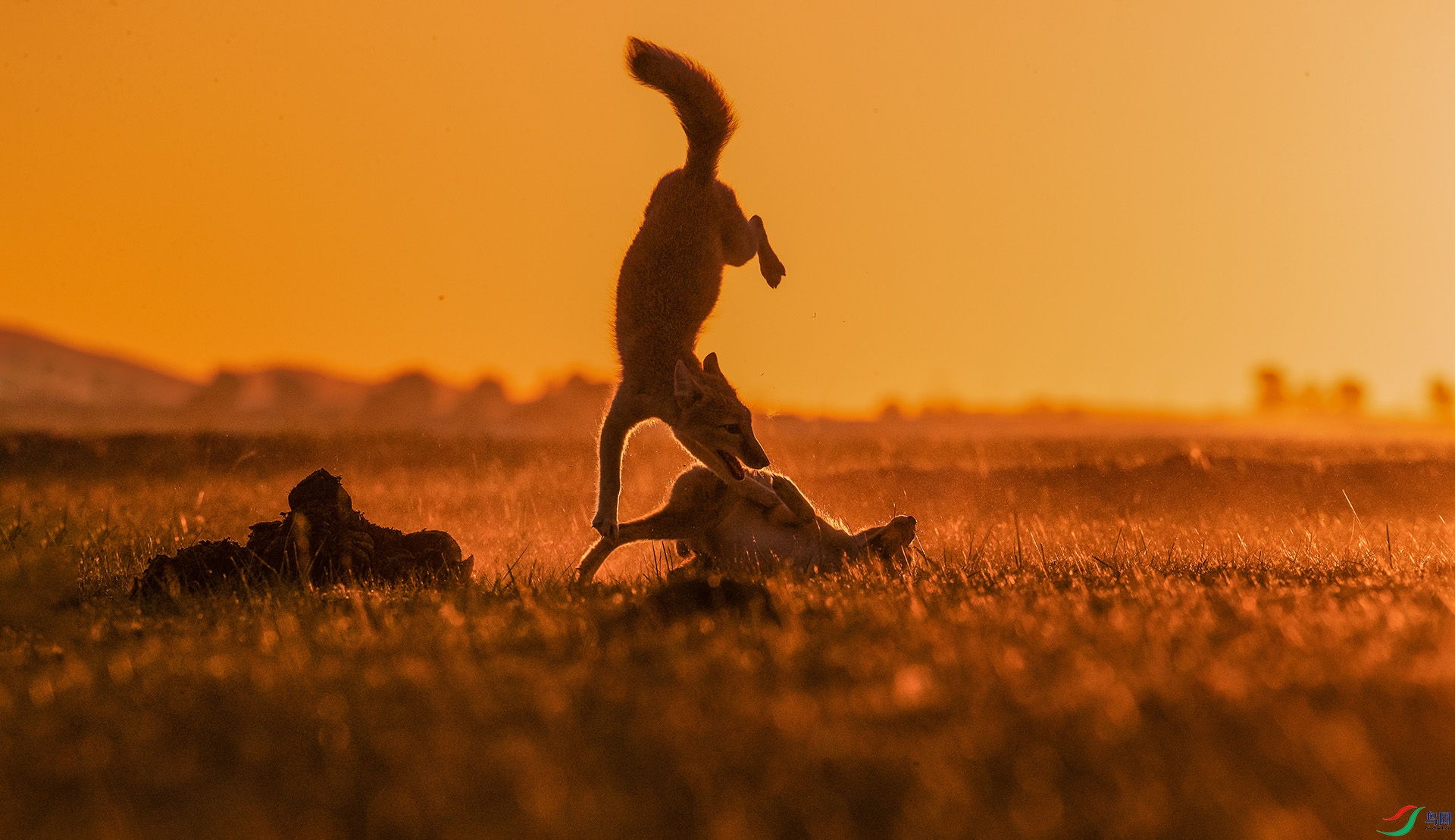 BP3I3784_��ͼ��_��ͼ��_��ͼ�� ����Za.jpg