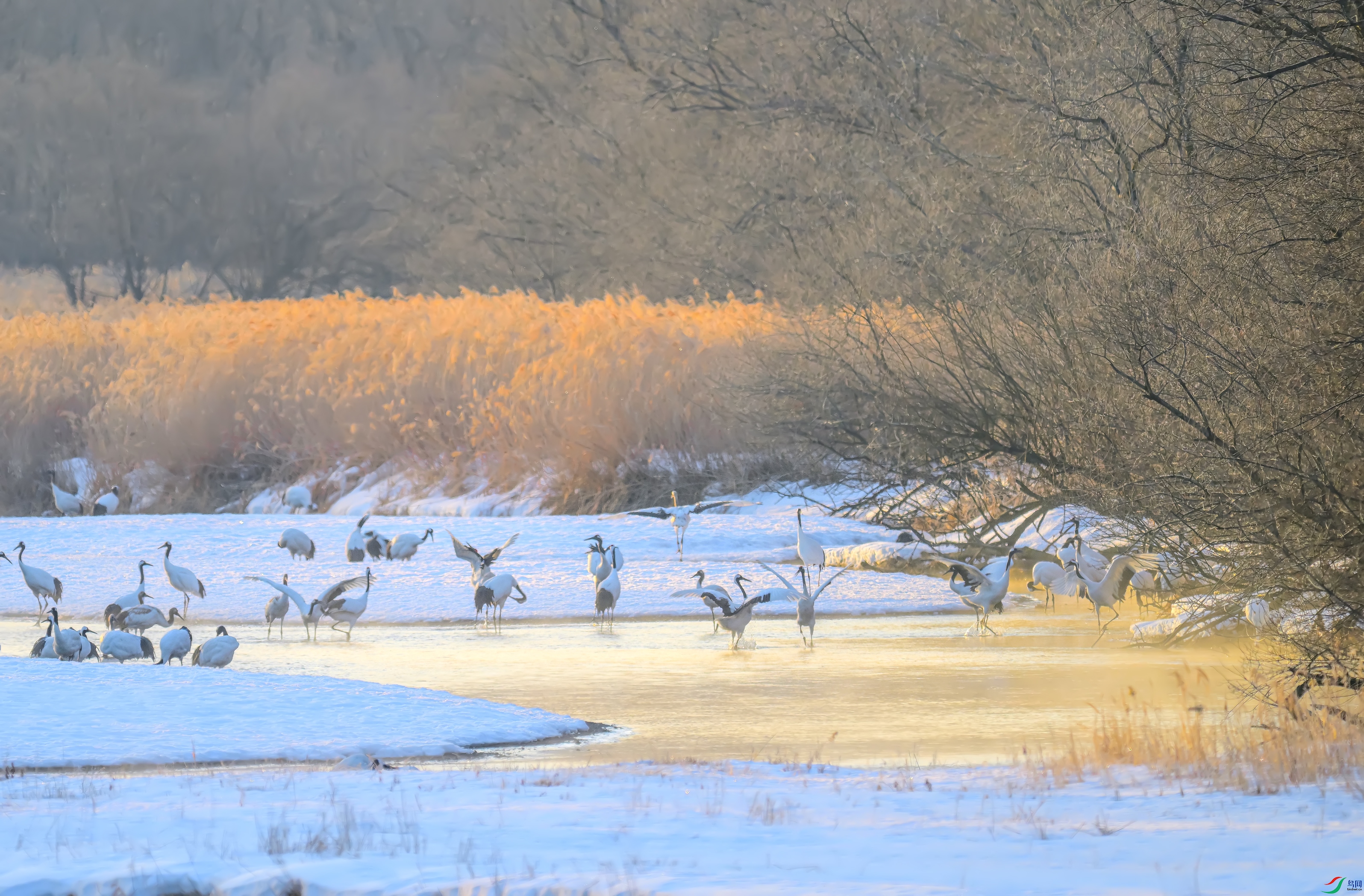 DSC_7962--.jpg