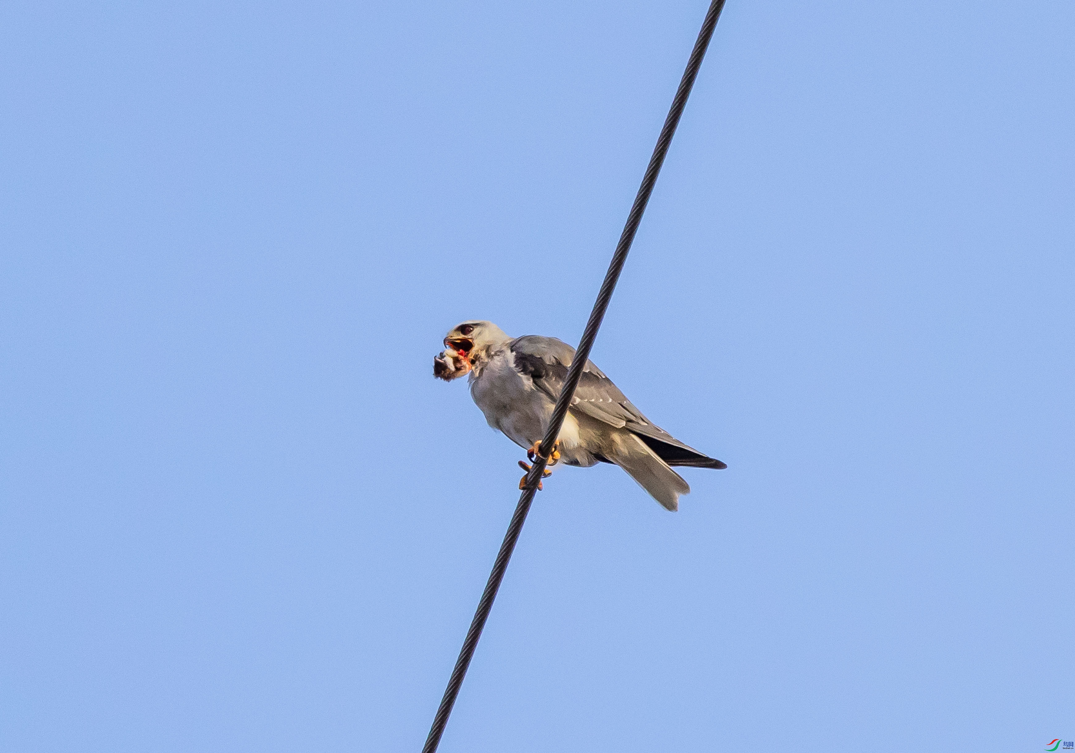 188A6727.JPG