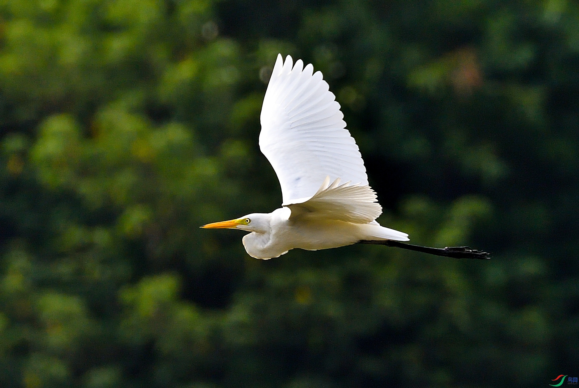 DSC_2474_00099.jpg