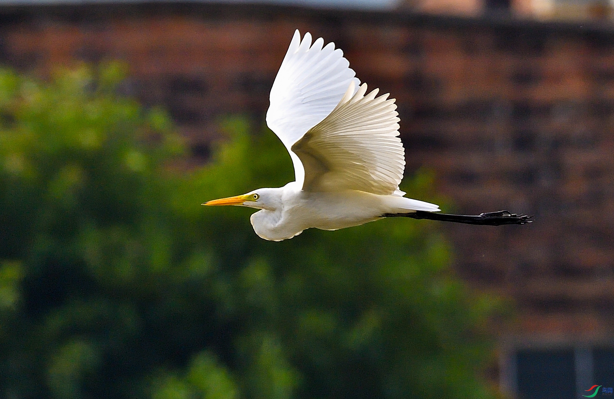 DSC_2478_00103.jpg