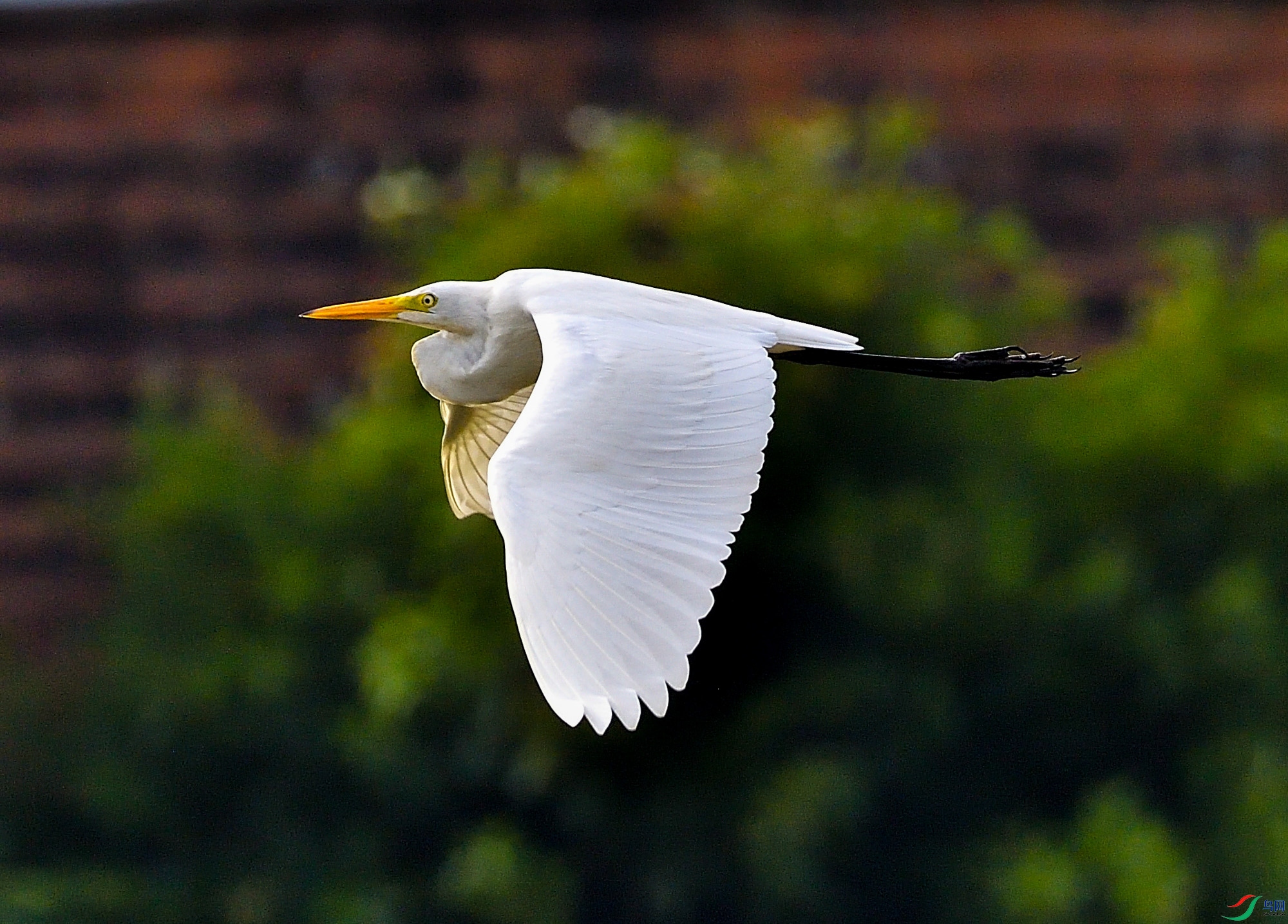 DSC_2479_00104.jpg