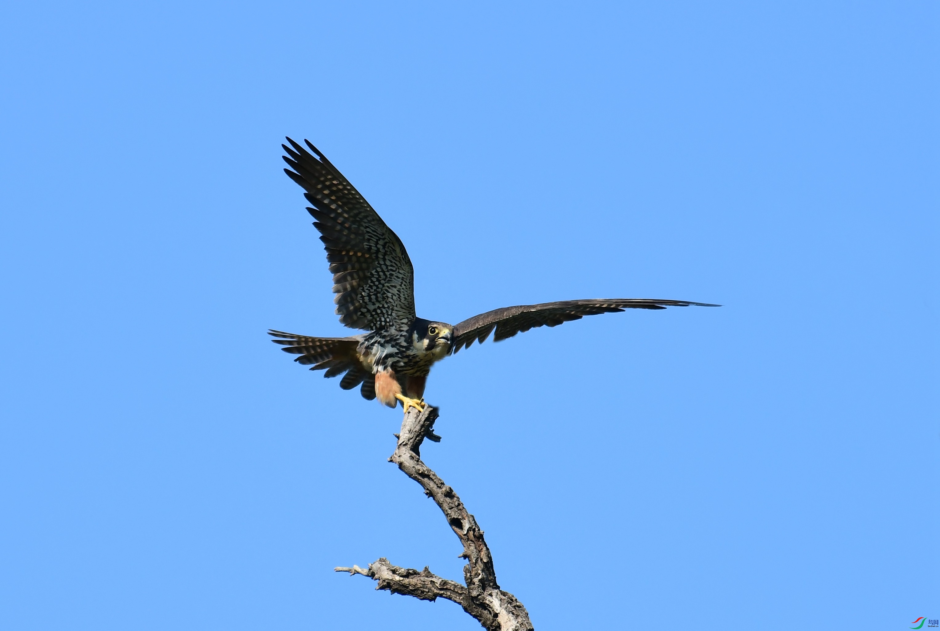 DSC_4064.JPG