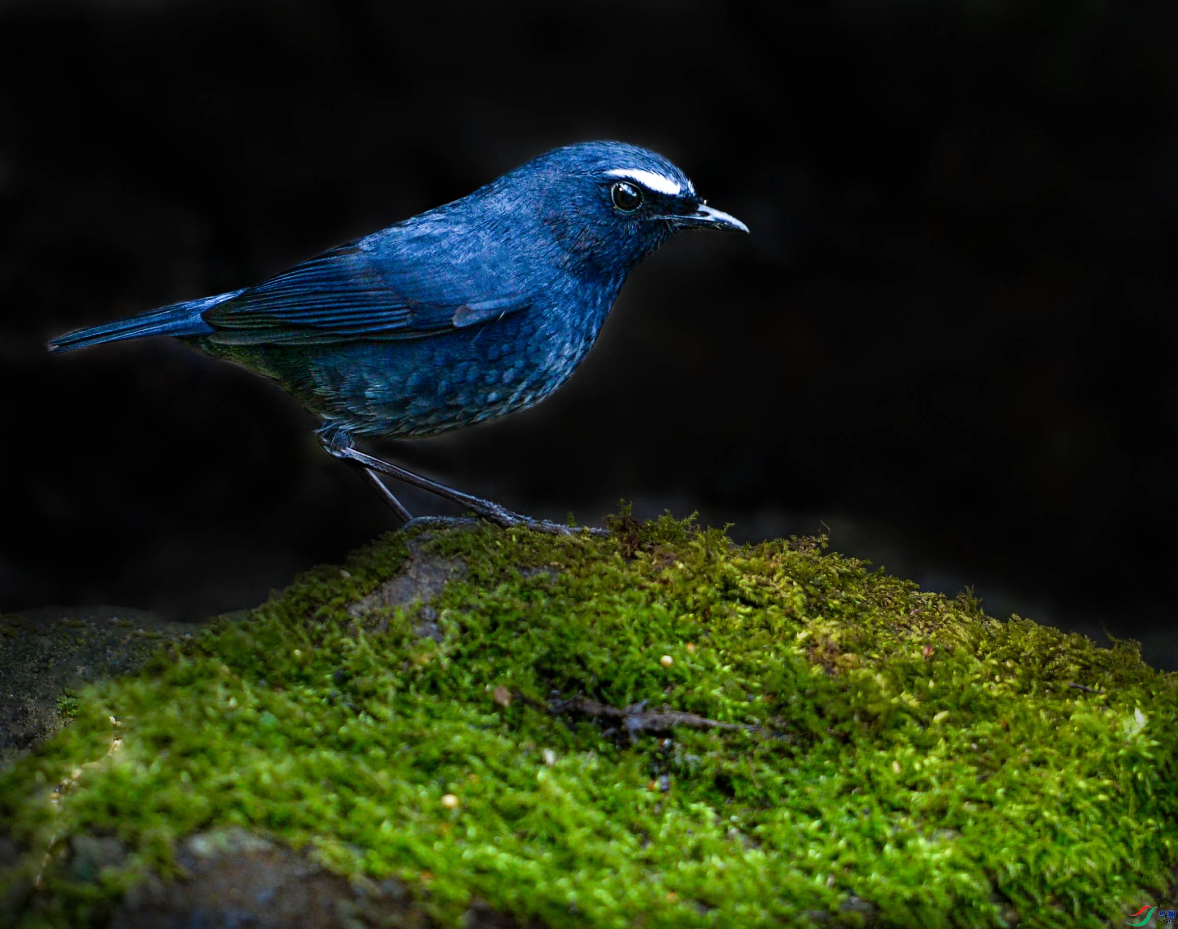 DSC_3484_���ٿ�ͼ(1)����.jpg