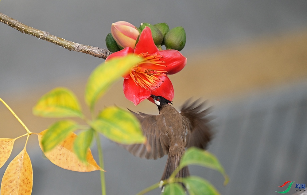 DSCF6828.1.jpg