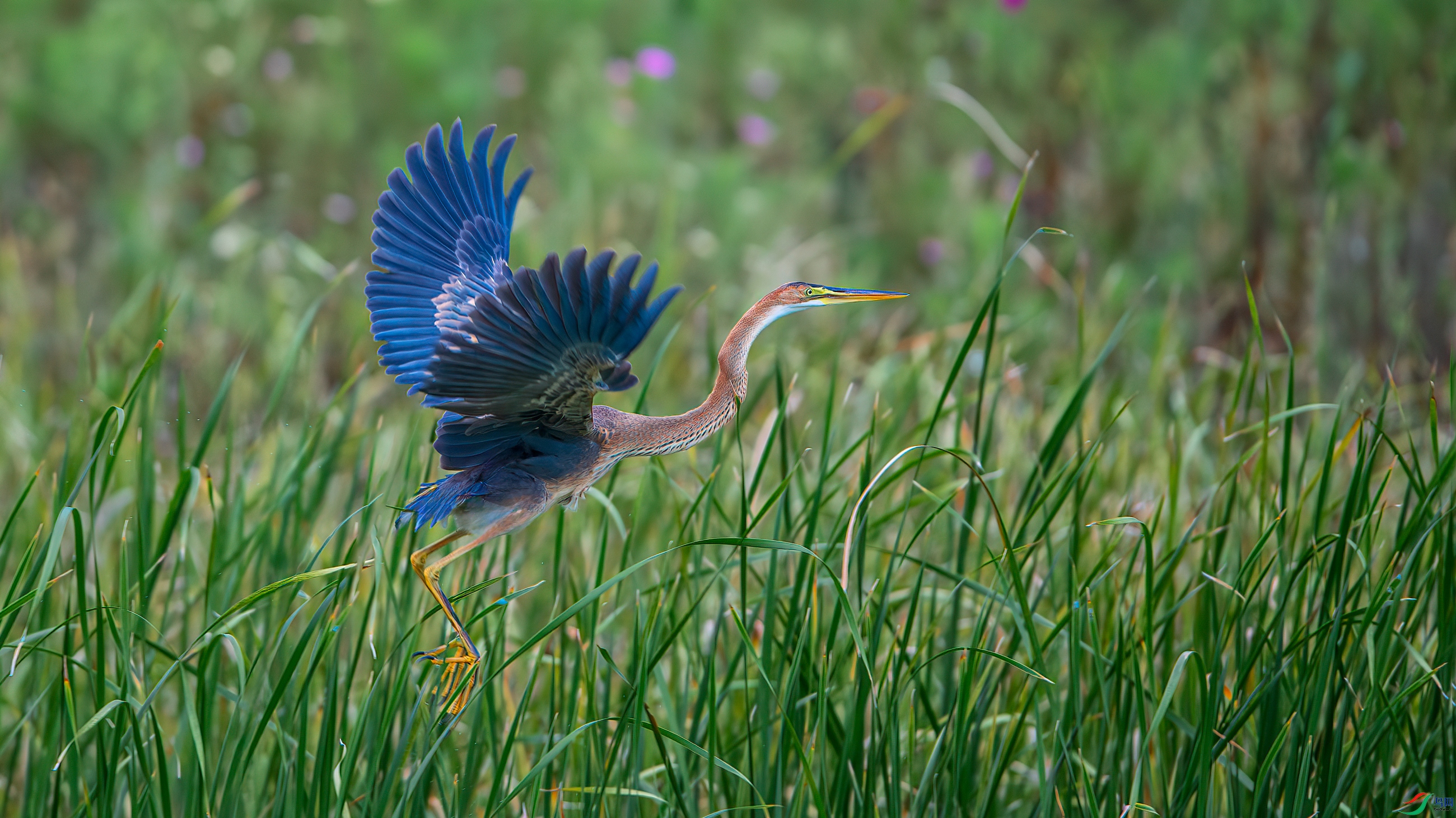 ��ƬDSC_3892-����ǿ-NR ����.jpg