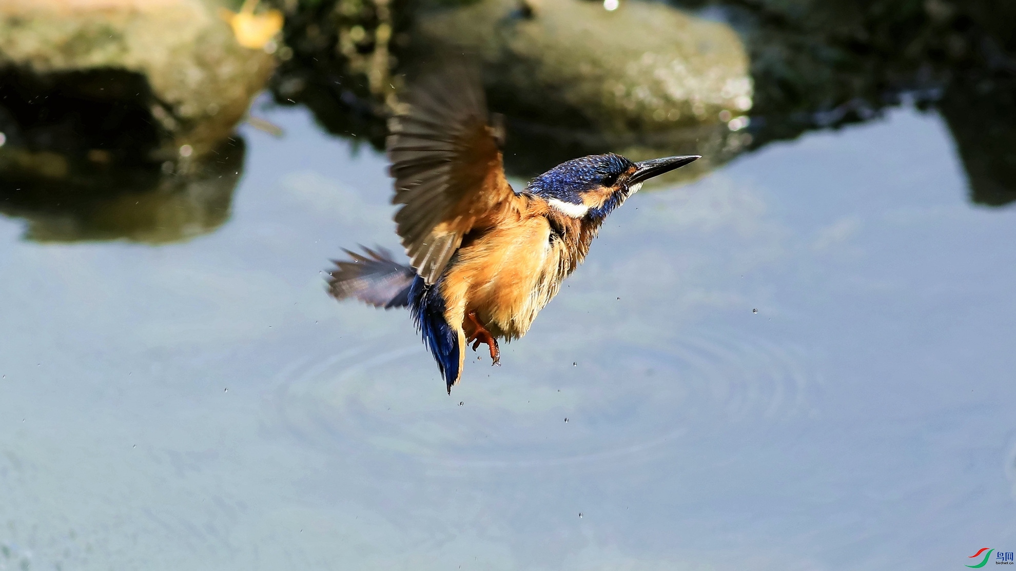 С���ԡͼ֮��