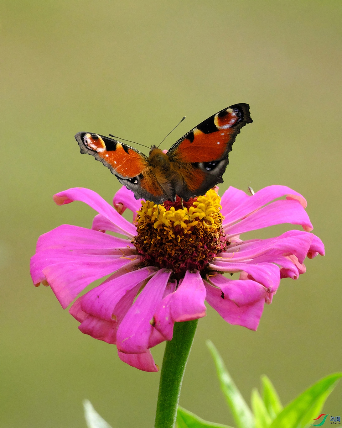 DSCF6979.jpg