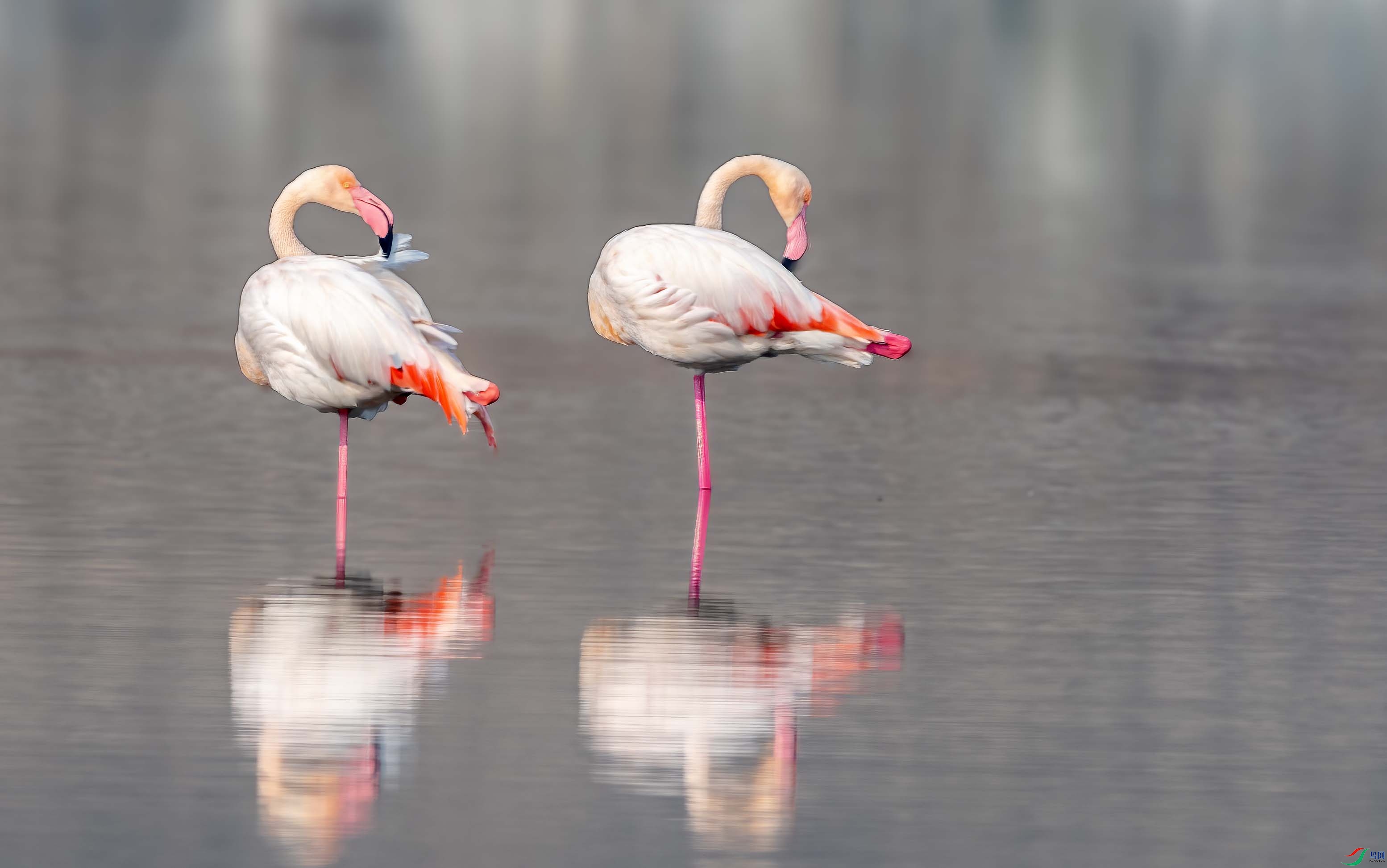 DSC_4286 ����.jpg