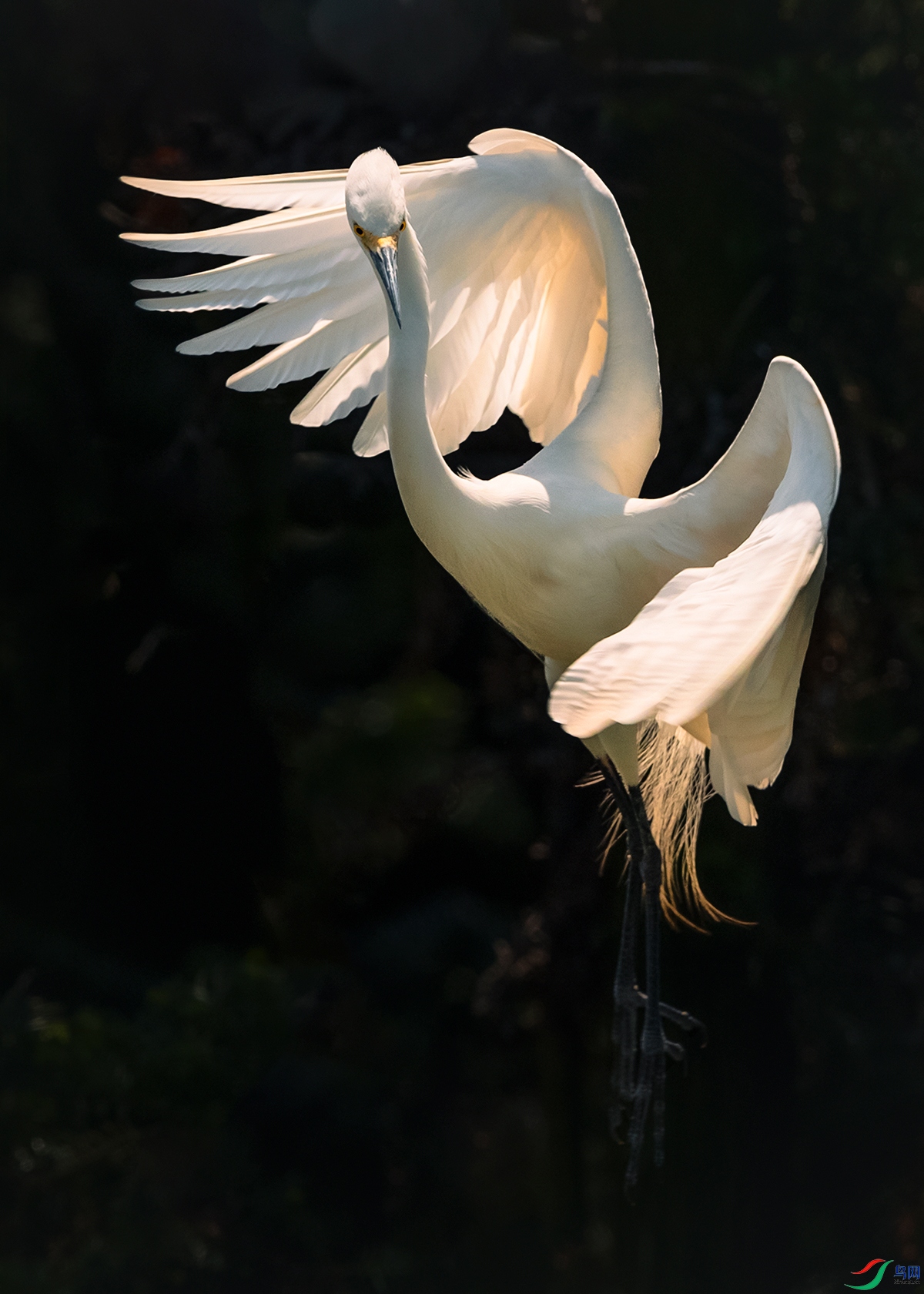 ����----��������չӢ��