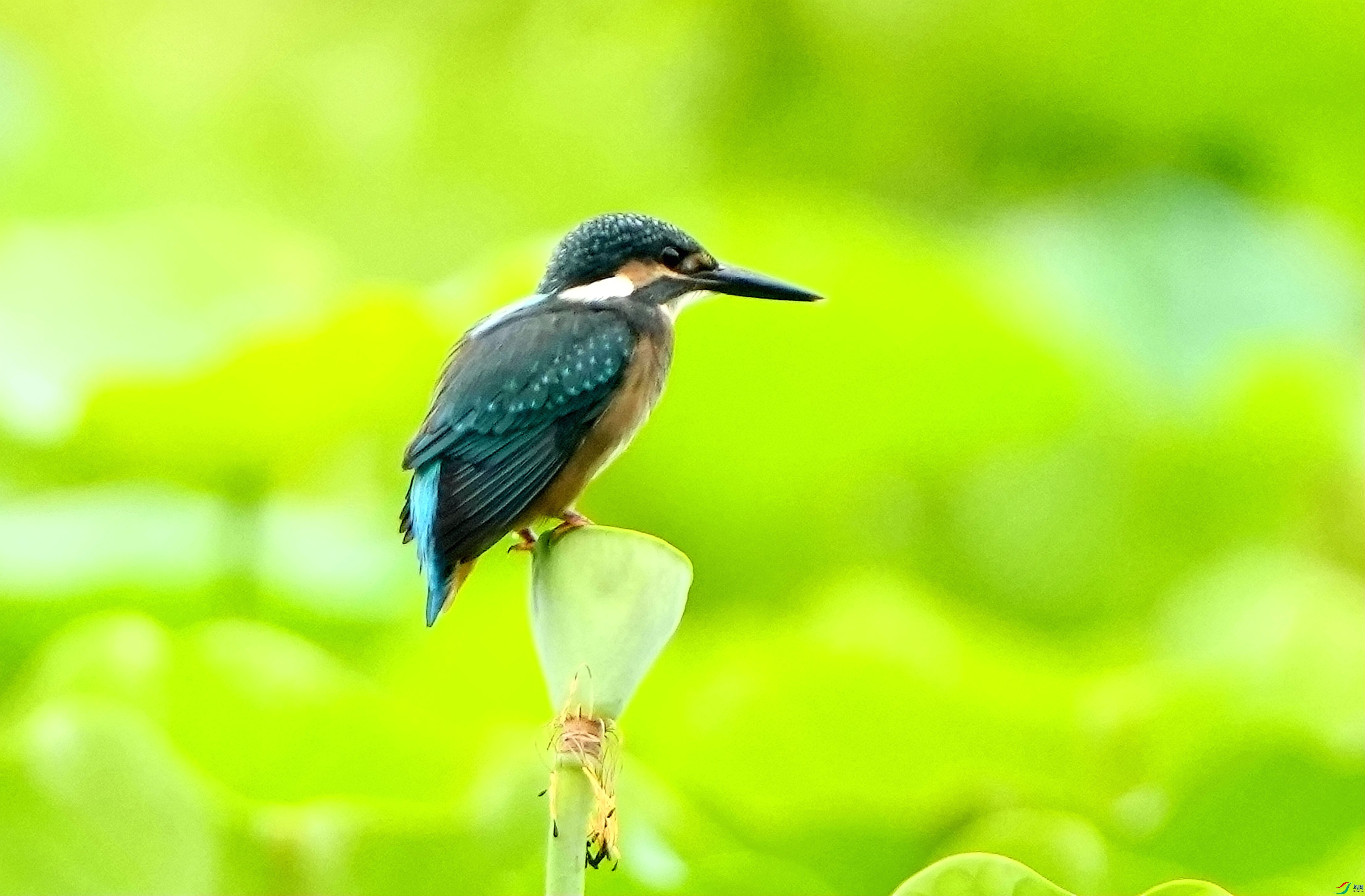����վ����DSC06419_����.jpg
