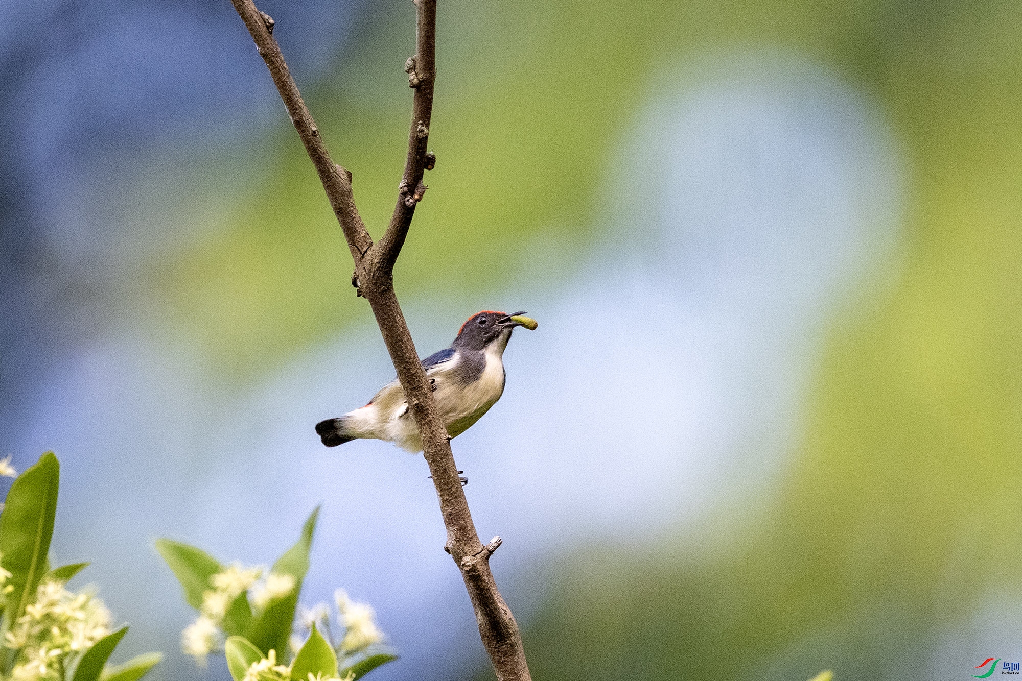 DSC_1541.jpg