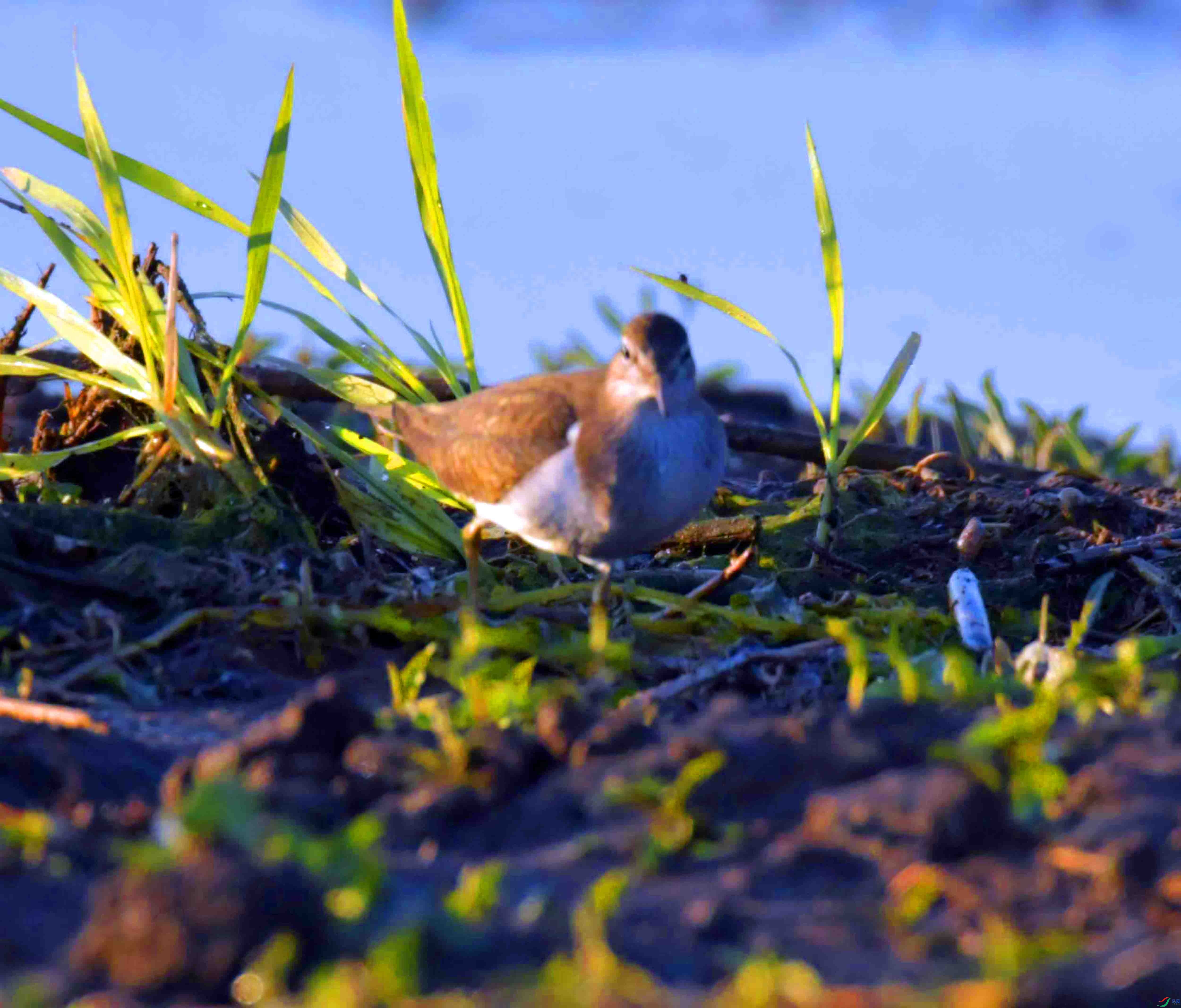 DSC_0117.JPG