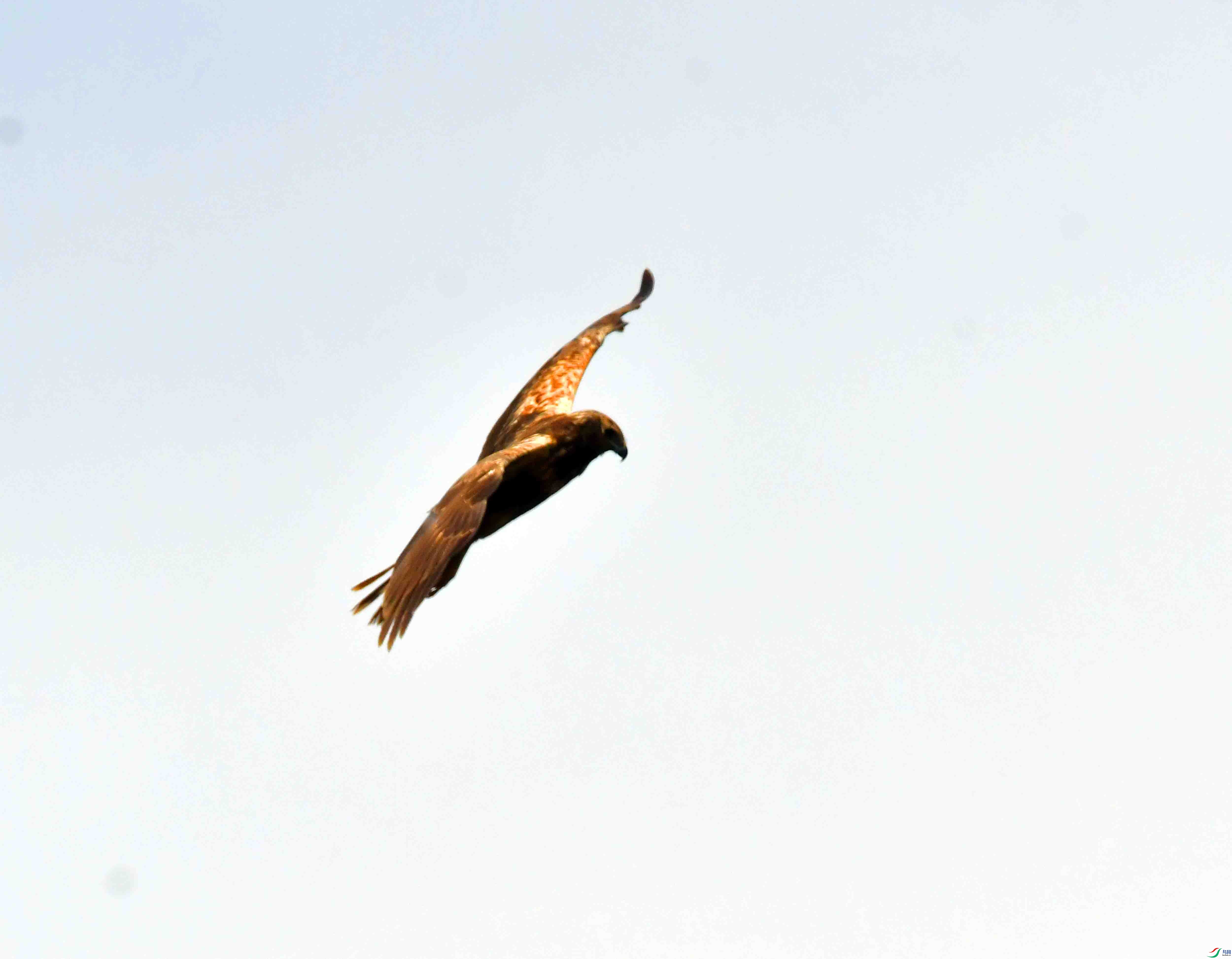DSC_0014.JPG