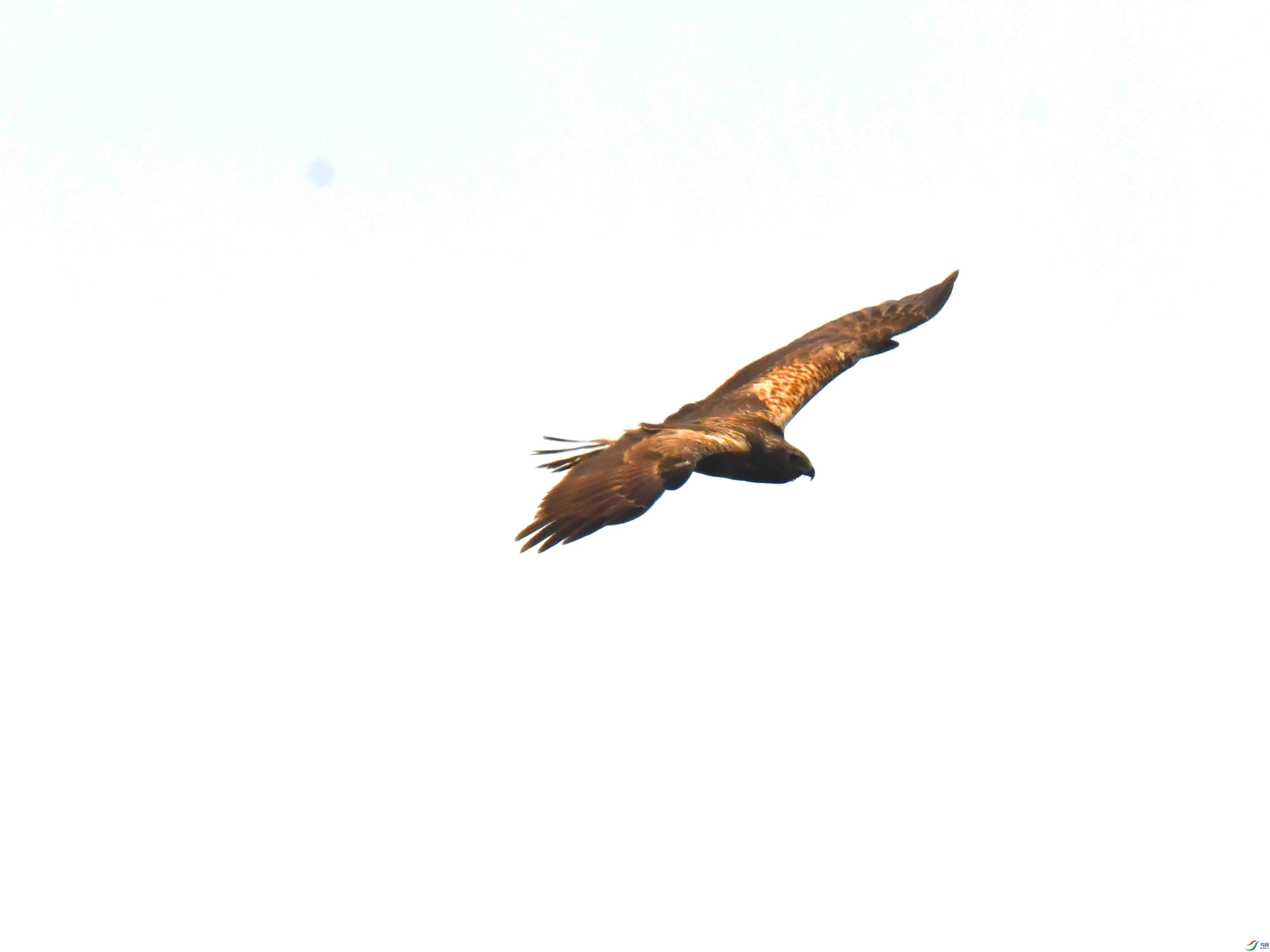 DSC_0035.JPG