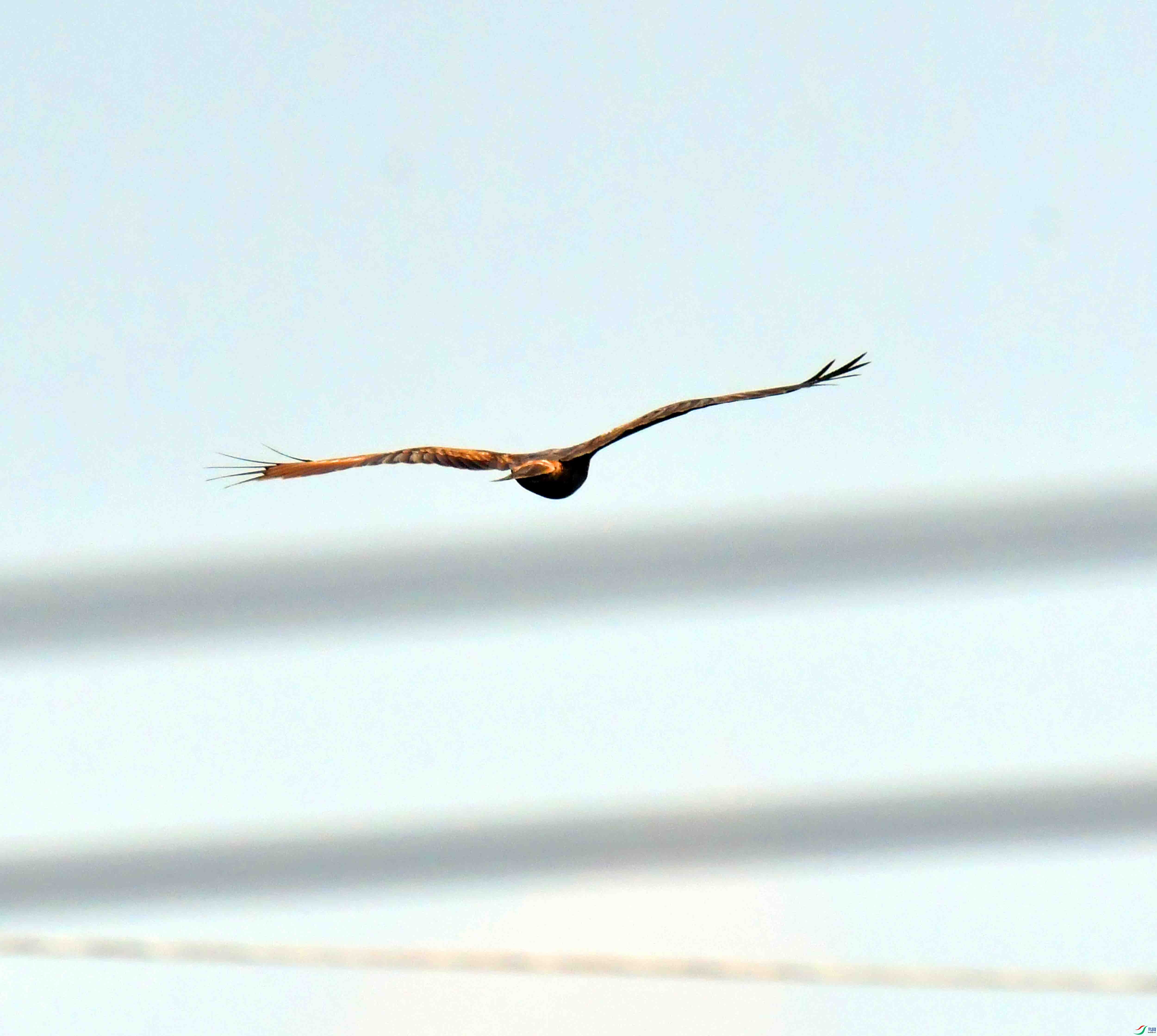 DSC_0398.JPG