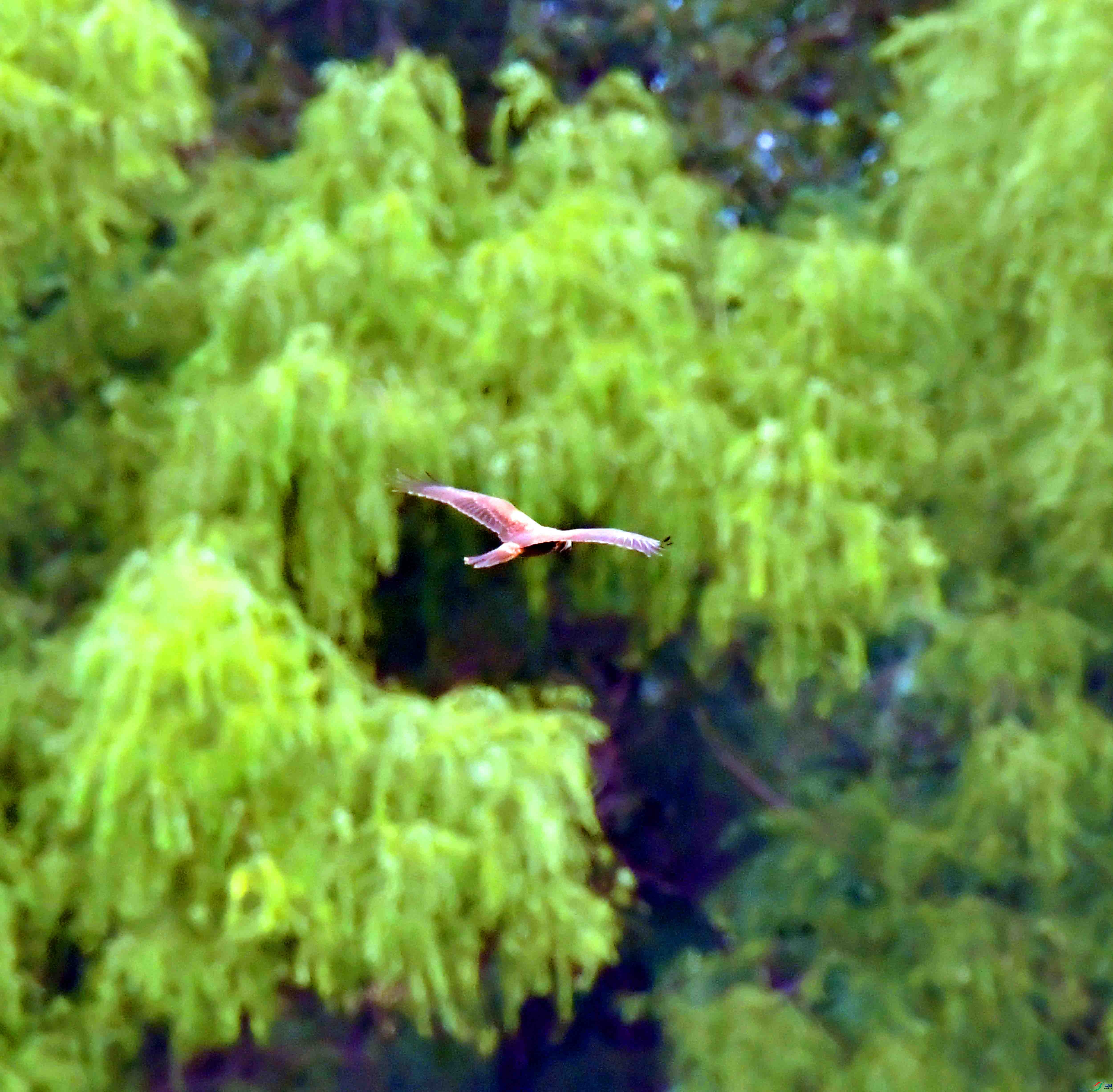 DSC_7567.JPG