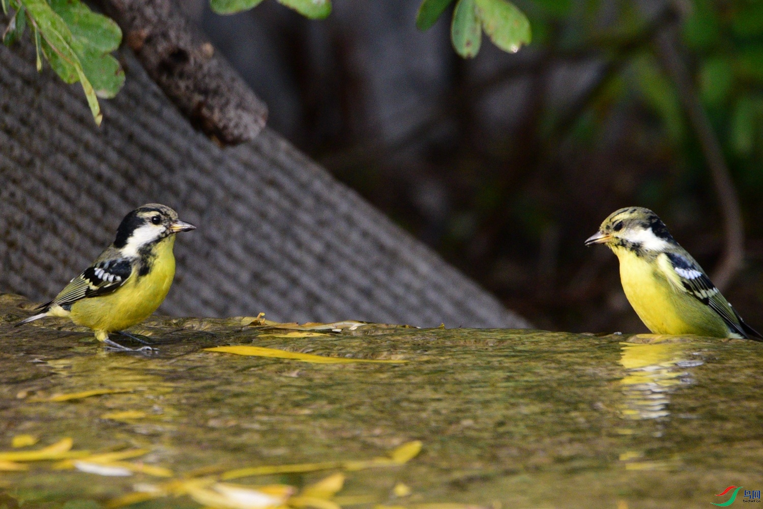 DSC_6635.JPG