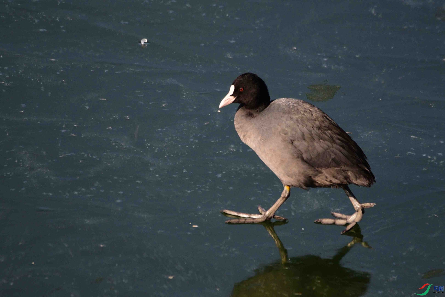 DSC_9471.JPG