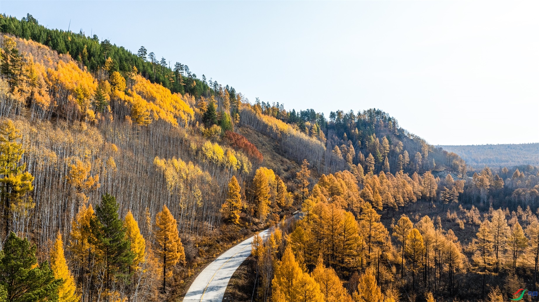 dji_fly_20240926_090556_47_1727351711338_photo ����1.jpg