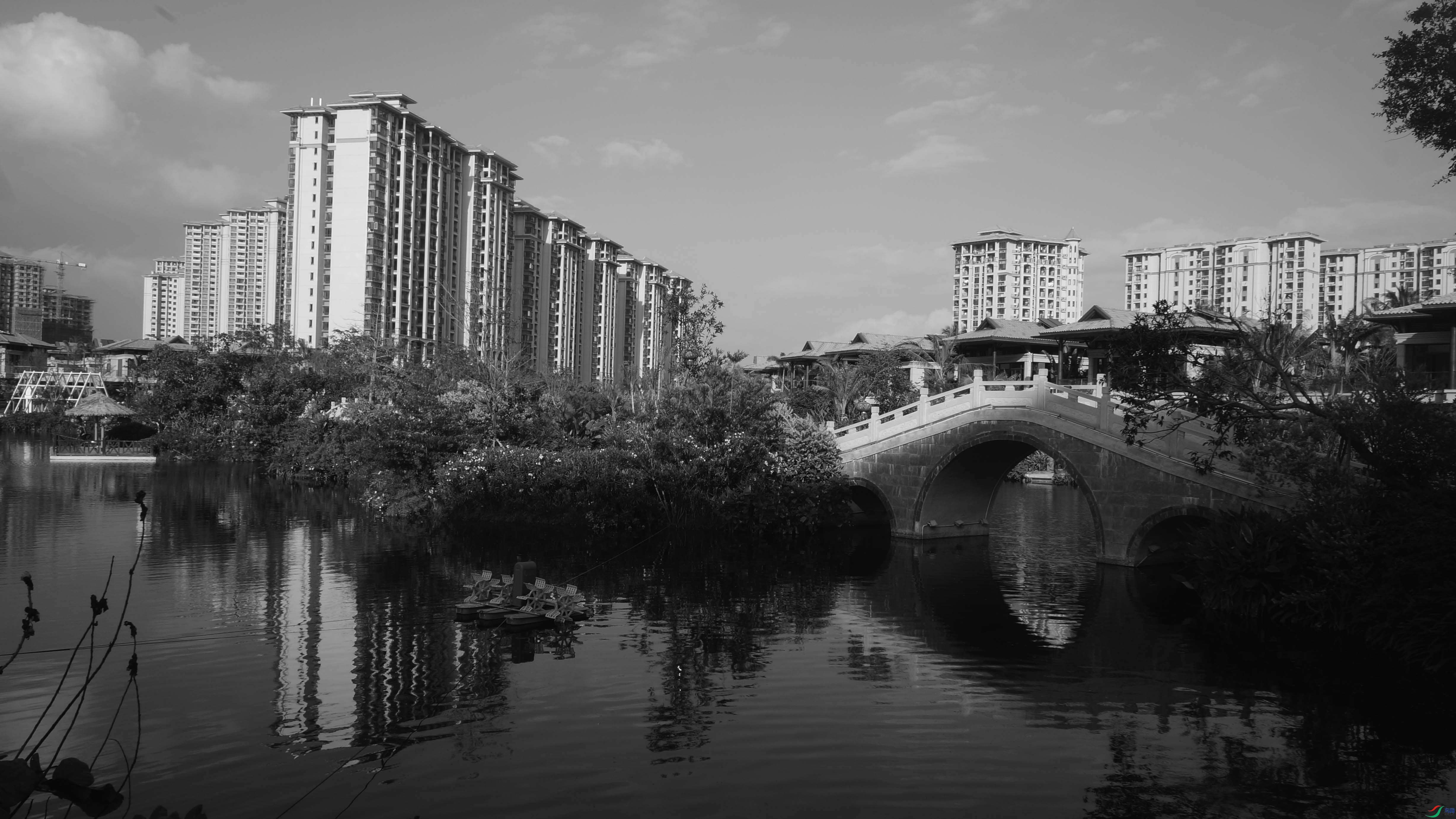 DSC06814.jpg