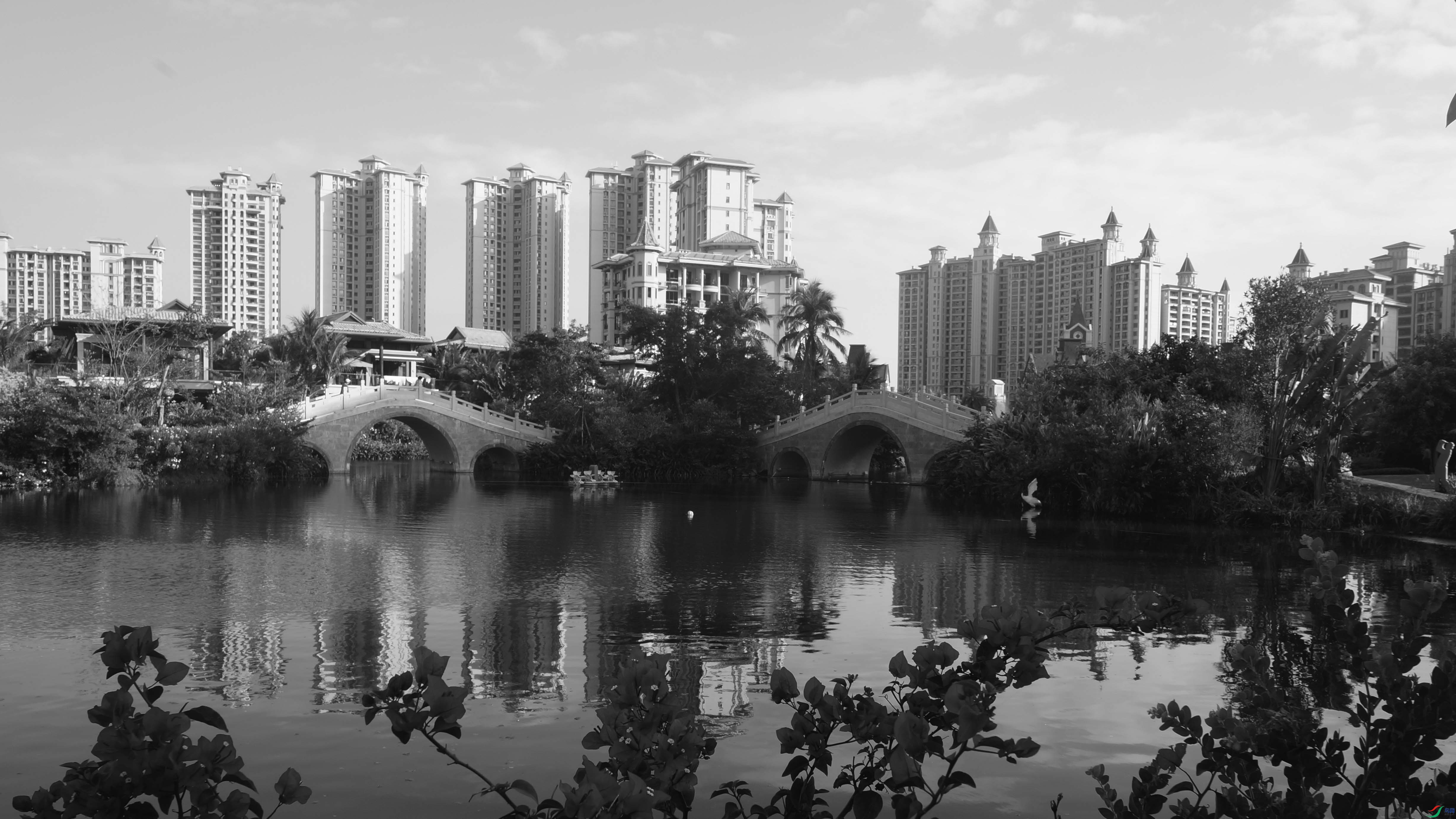 DSC06818-2.jpg