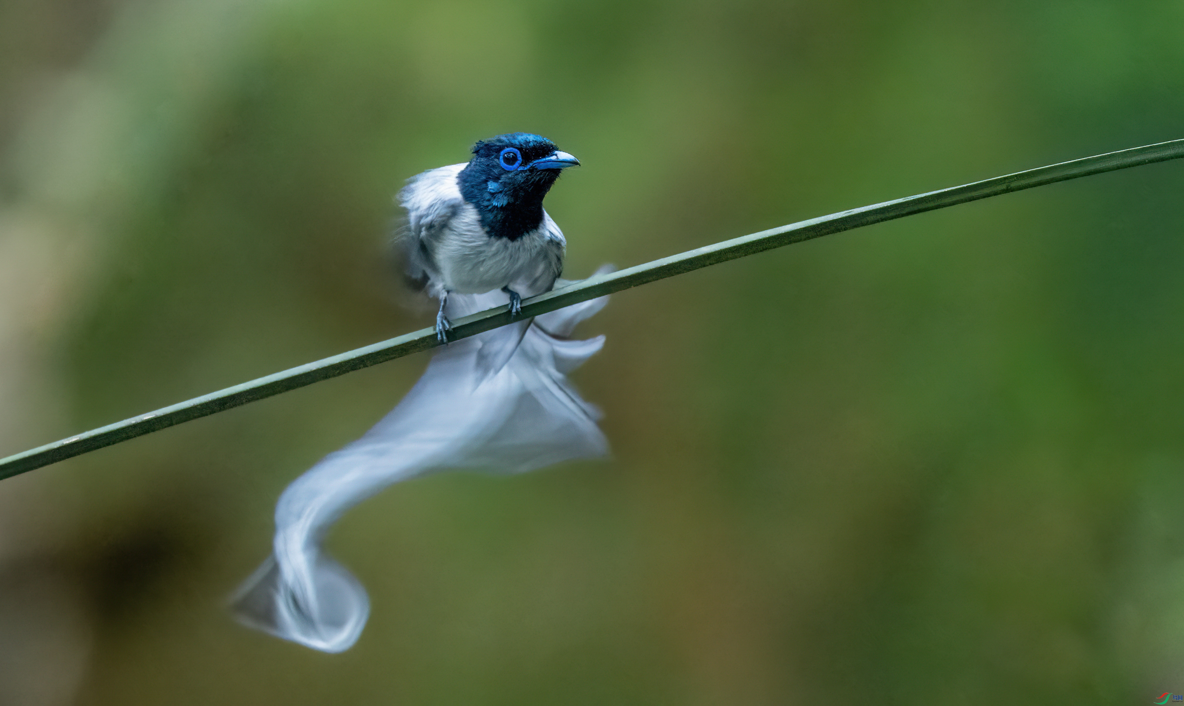 DSC_2770_1.jpg