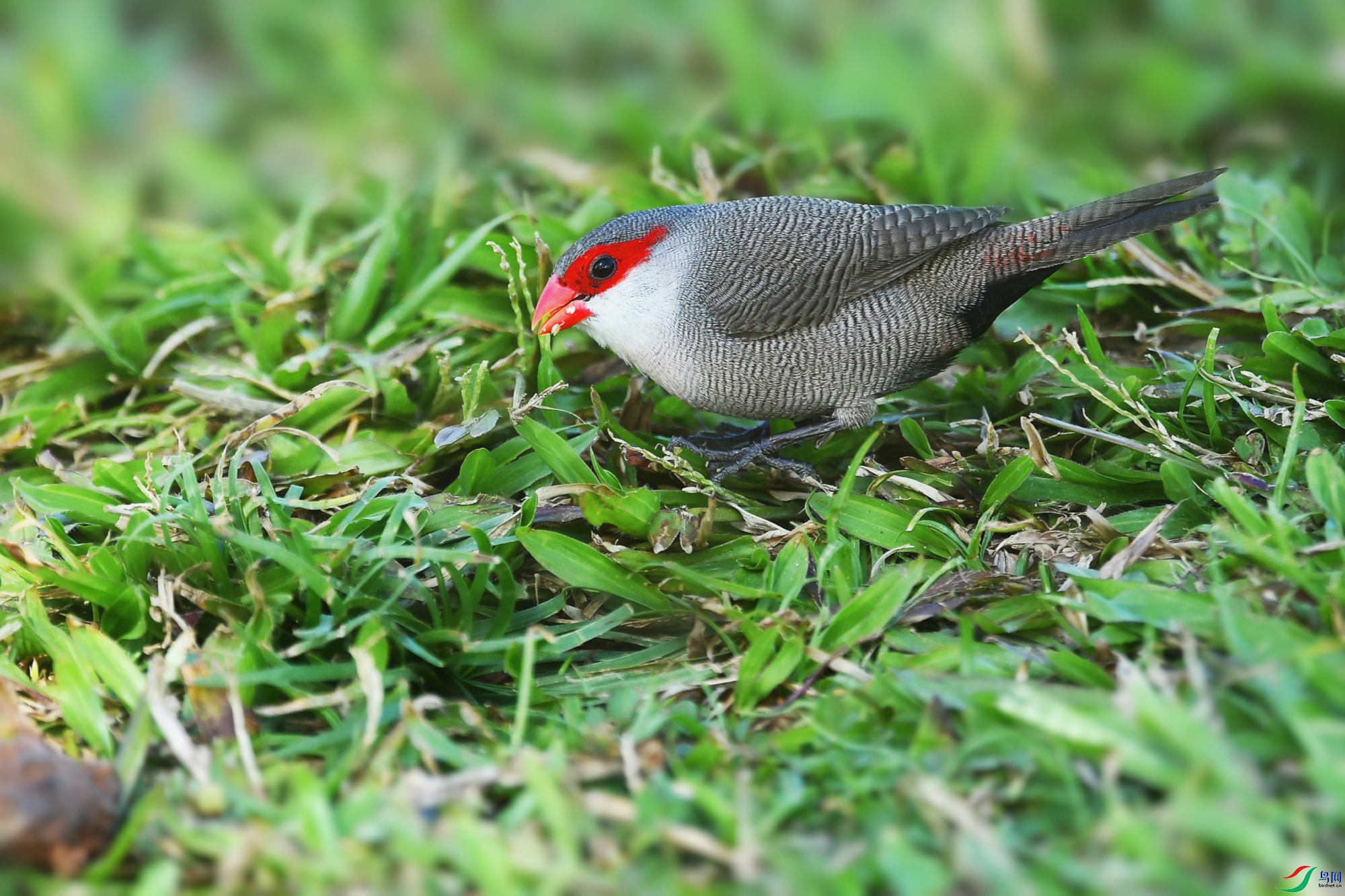 DSC_8602_.jpg