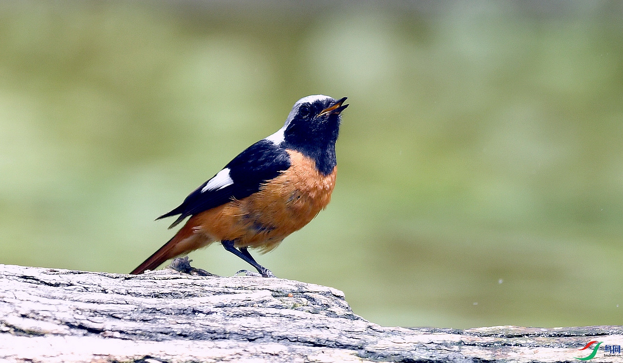 ����β� 9.15.JPG