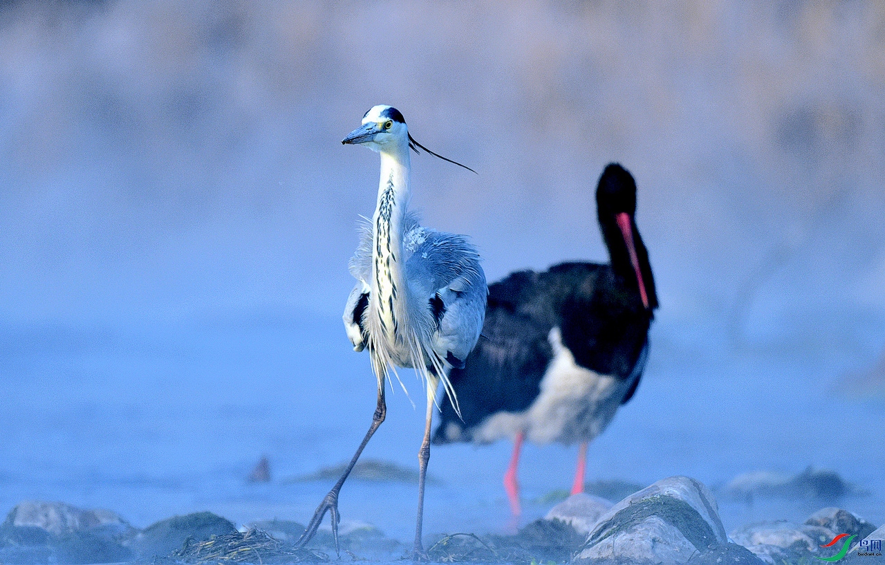 DSC_8807.jpg