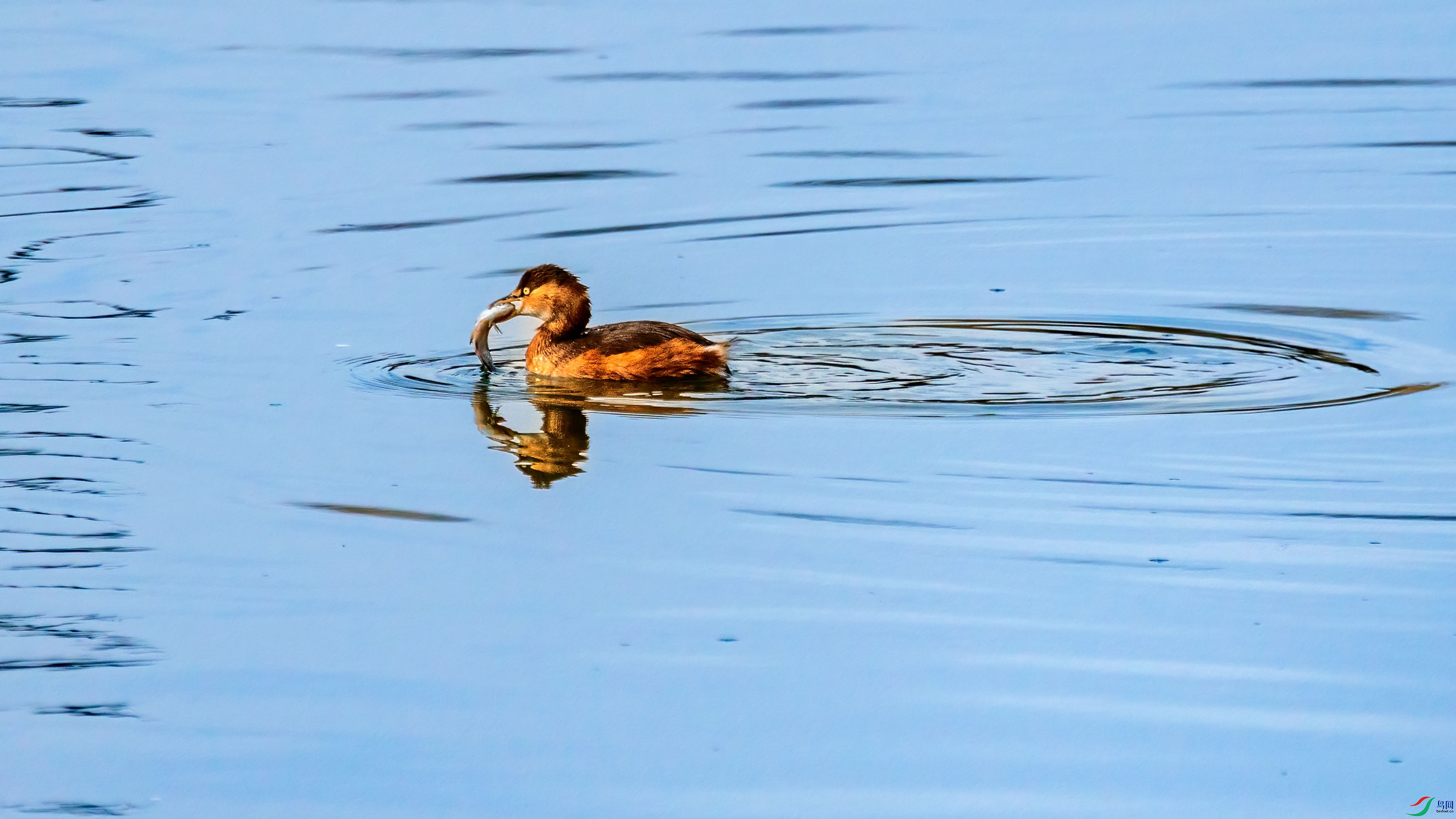 _X7A0495_1.jpg
