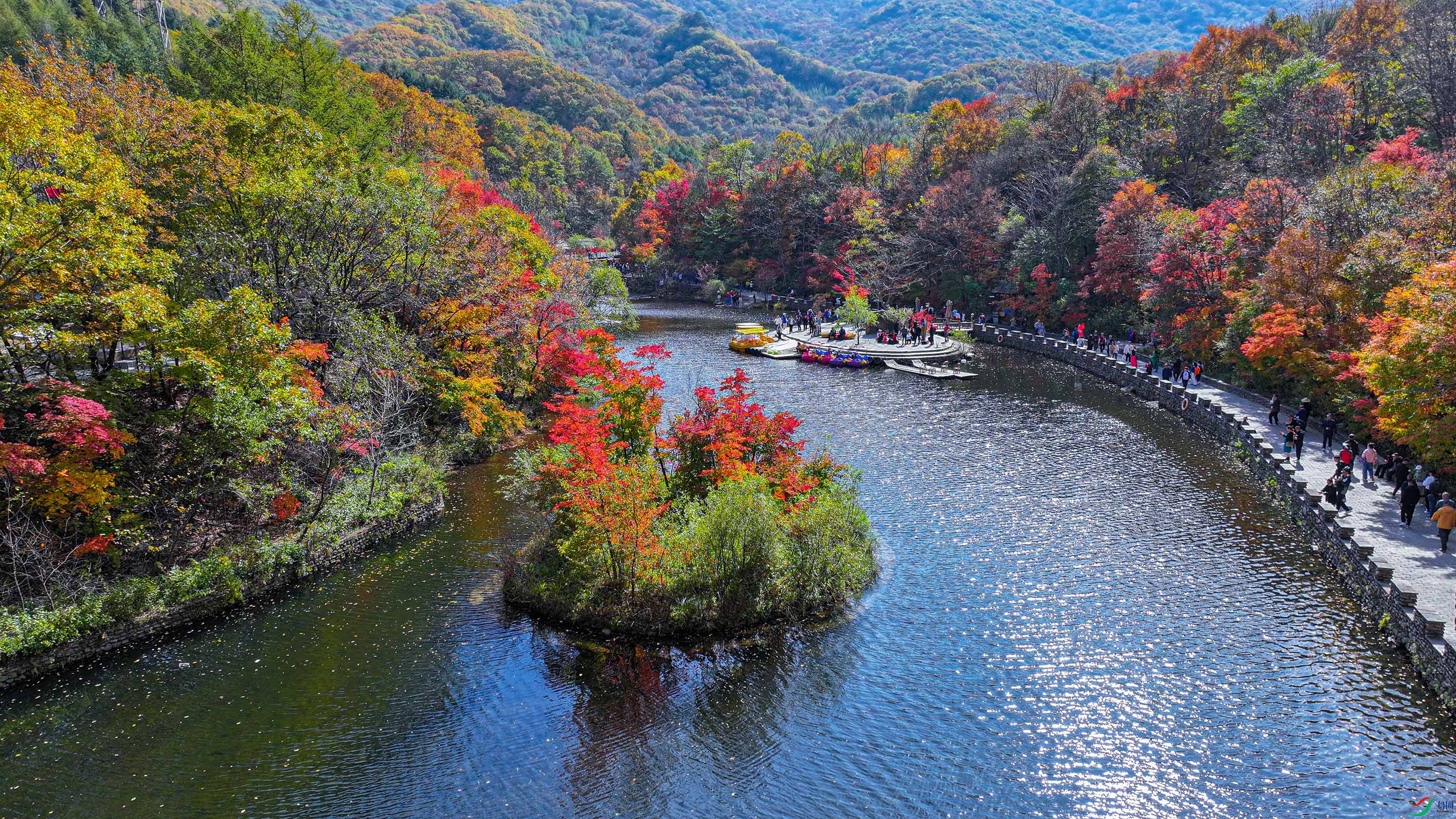 DJI_20241009115900_0004_D11.jpg