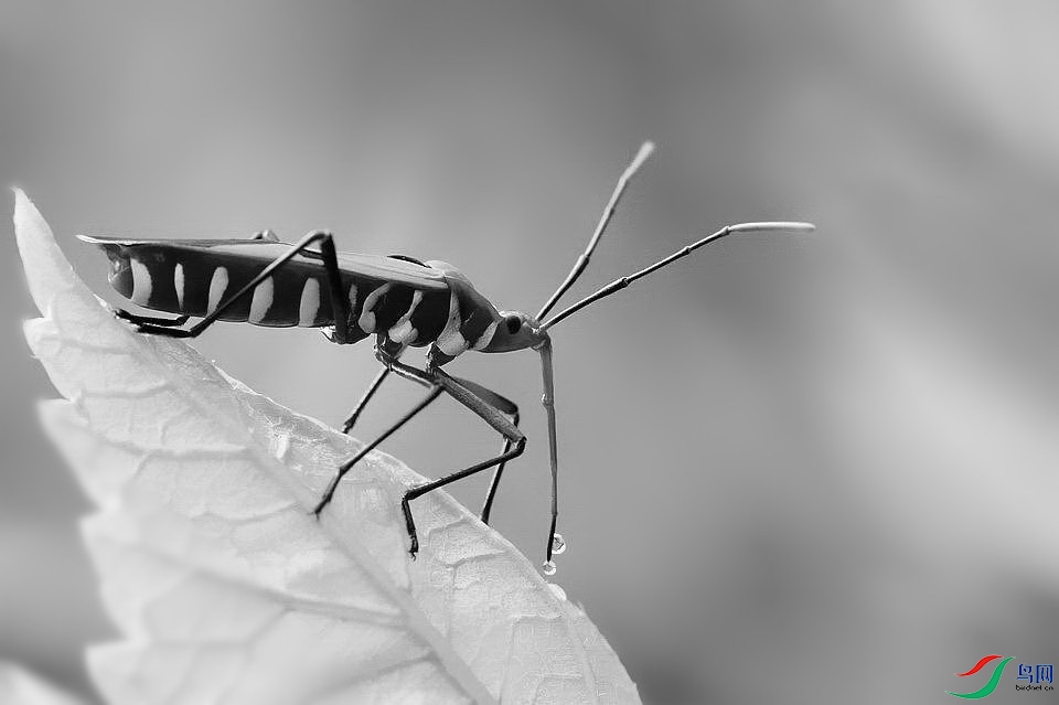 DSC_3350.jpg