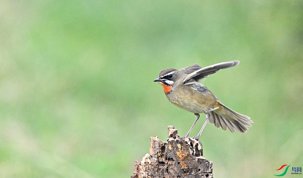 DSC_5690 - ����.JPG