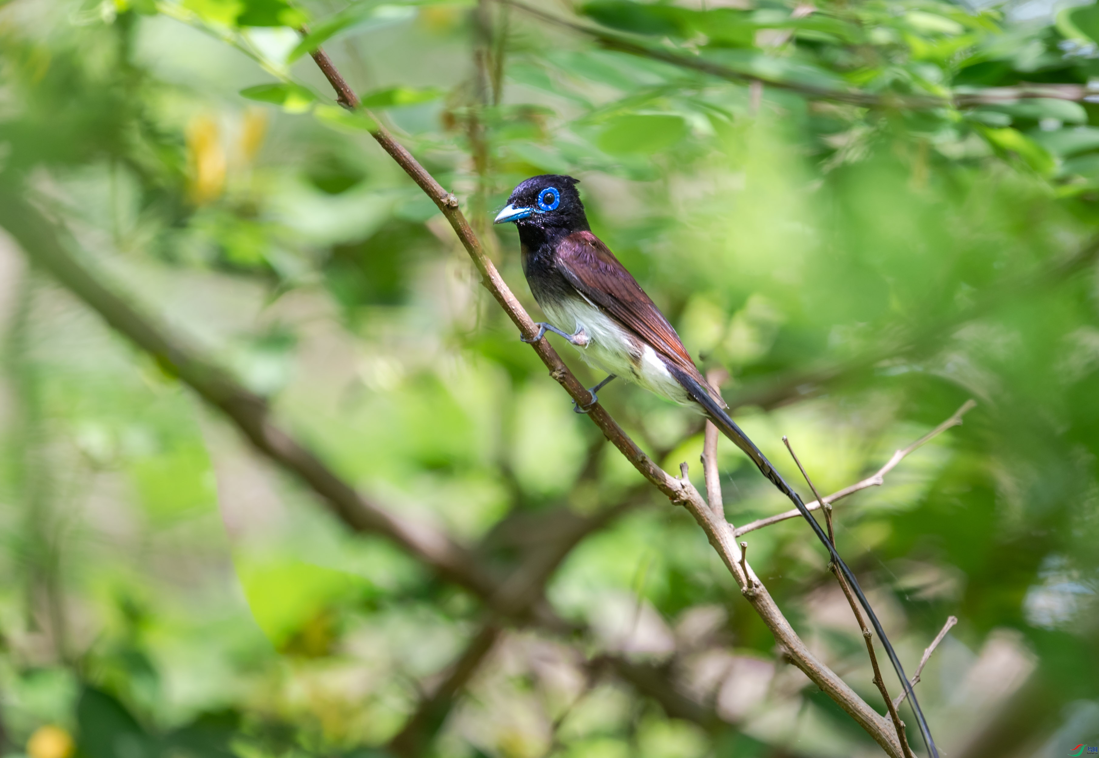 DSC_4921.jpg